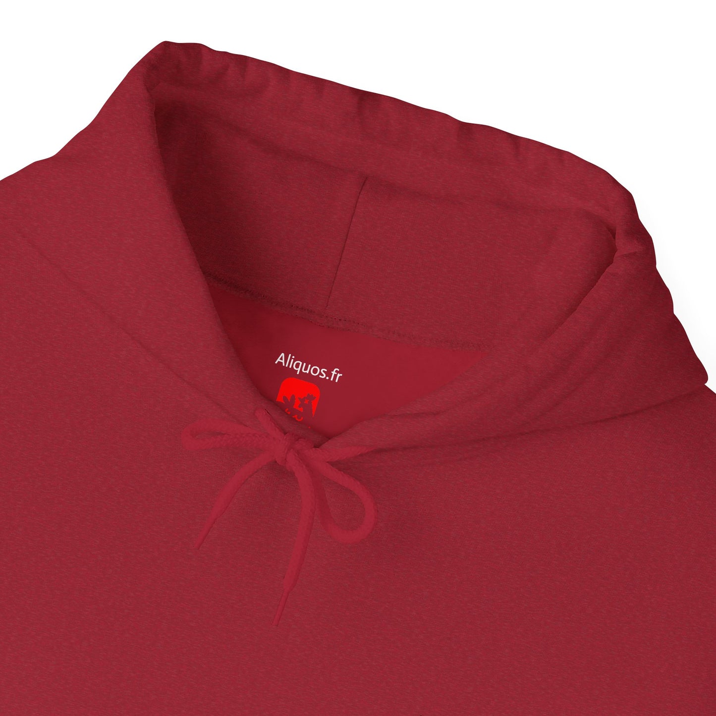 Sweat à capuche unisexe - Motif « Ai-je entendu un éternuement ? »
