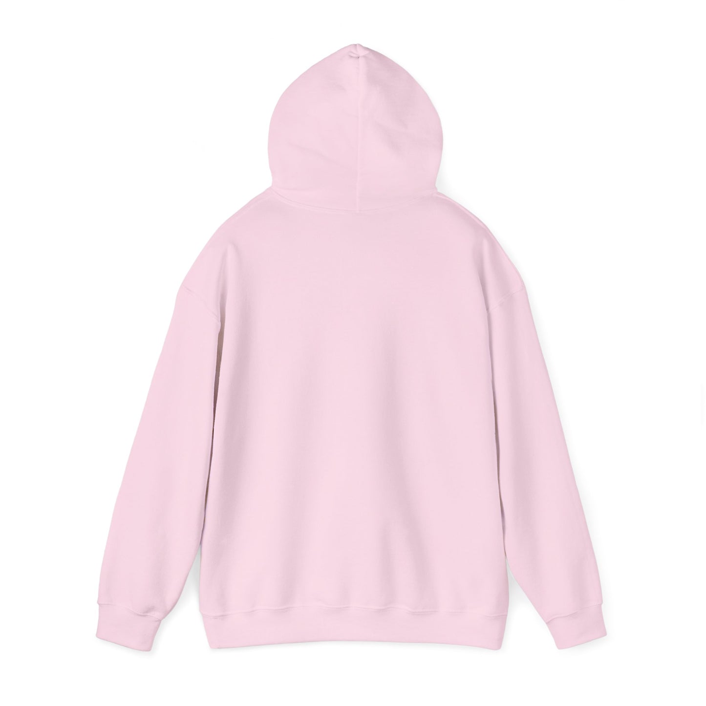 Blocky Piggy Unisex Hooded Sweatshirt - ALIQUOS