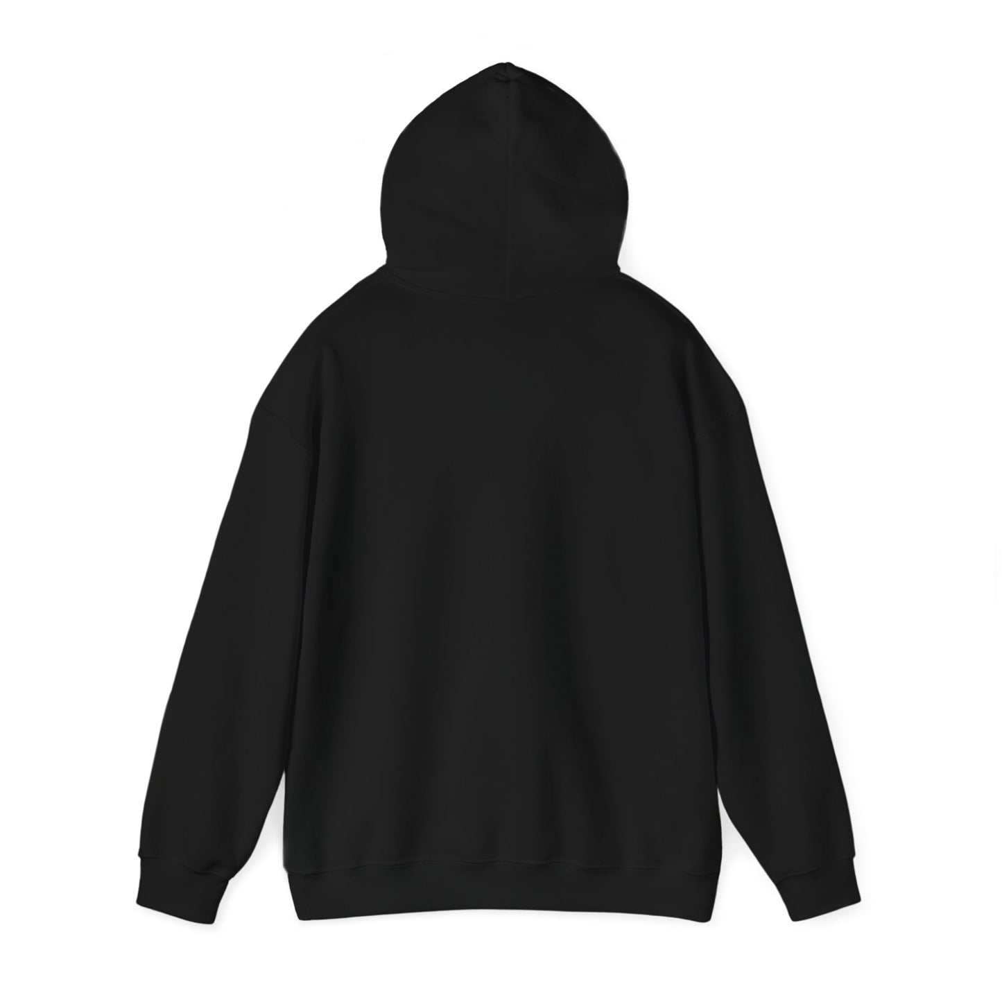 Sweat à capuche unisexe - Motif « Ce qui reste »
