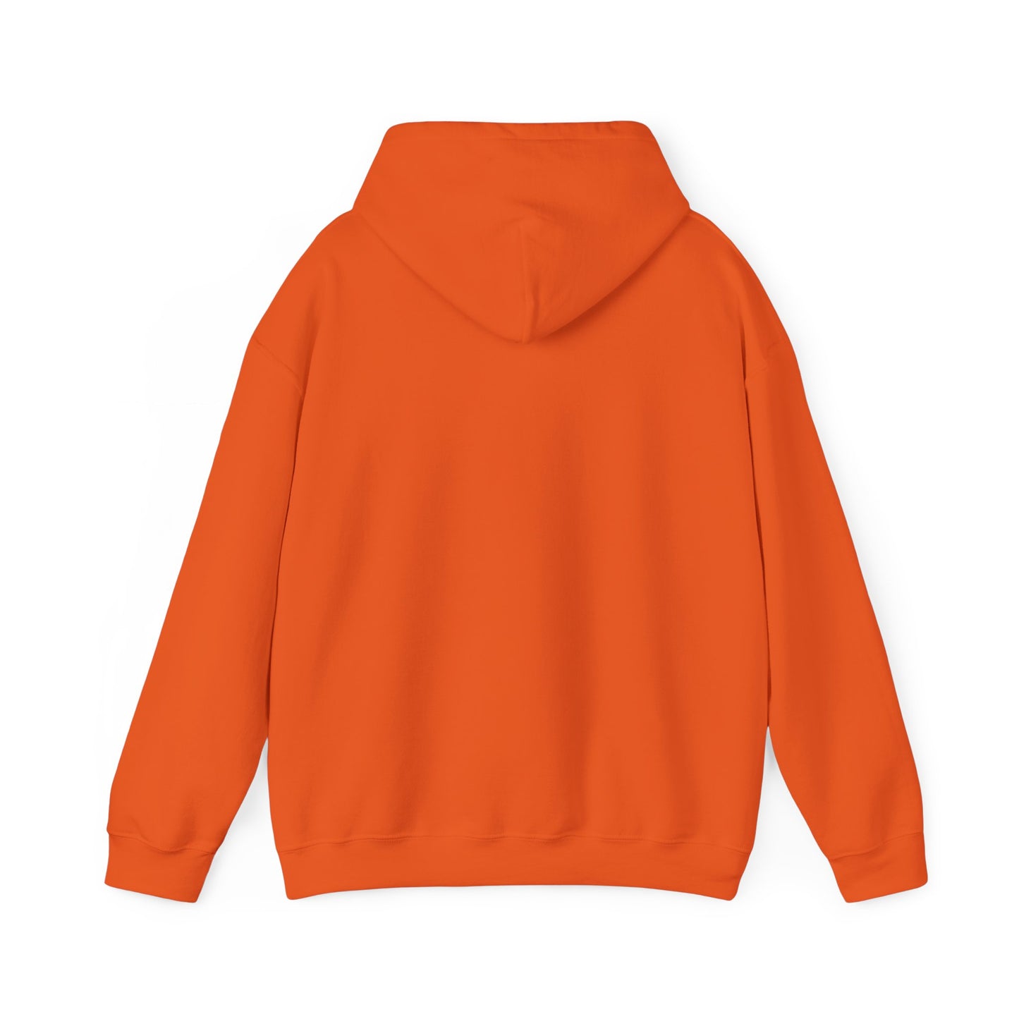 Unisex Hooded Sweatshirt - Attempted Murder Design - ALIQUOS
