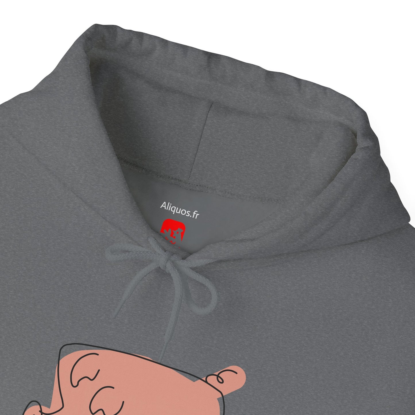Blocky Piggy Unisex Hooded Sweatshirt - ALIQUOS