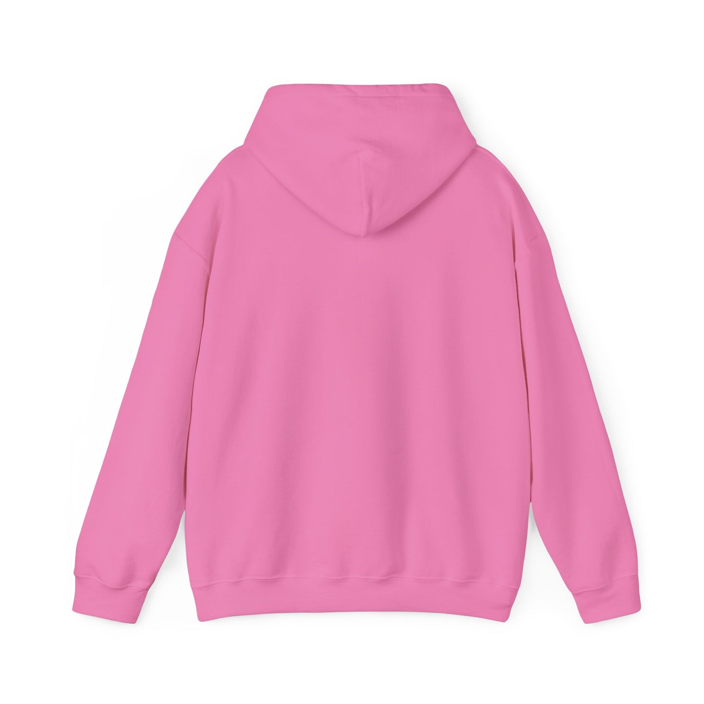 Piggy Rear Unisex Hooded Sweatshirt - ALIQUOS