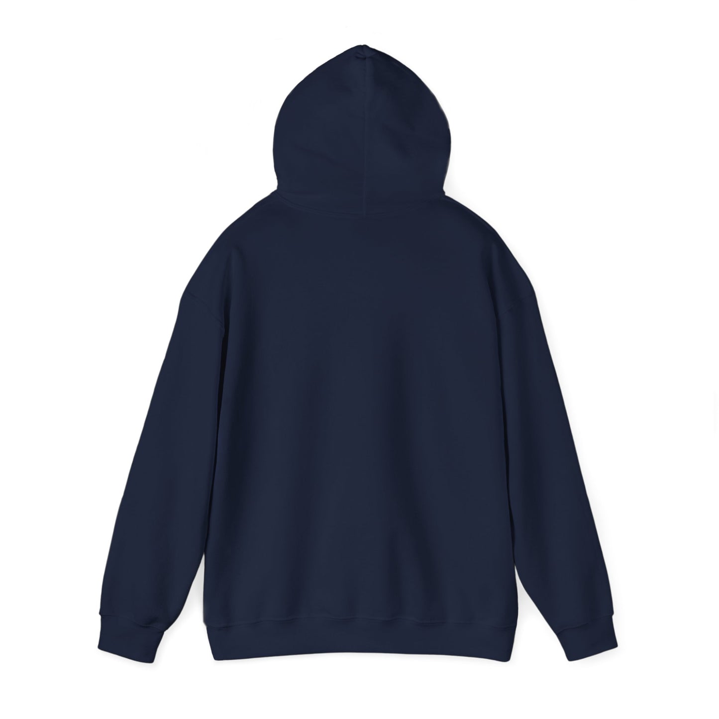 Sweat à capuche unisexe - Motif « Ce qui reste »