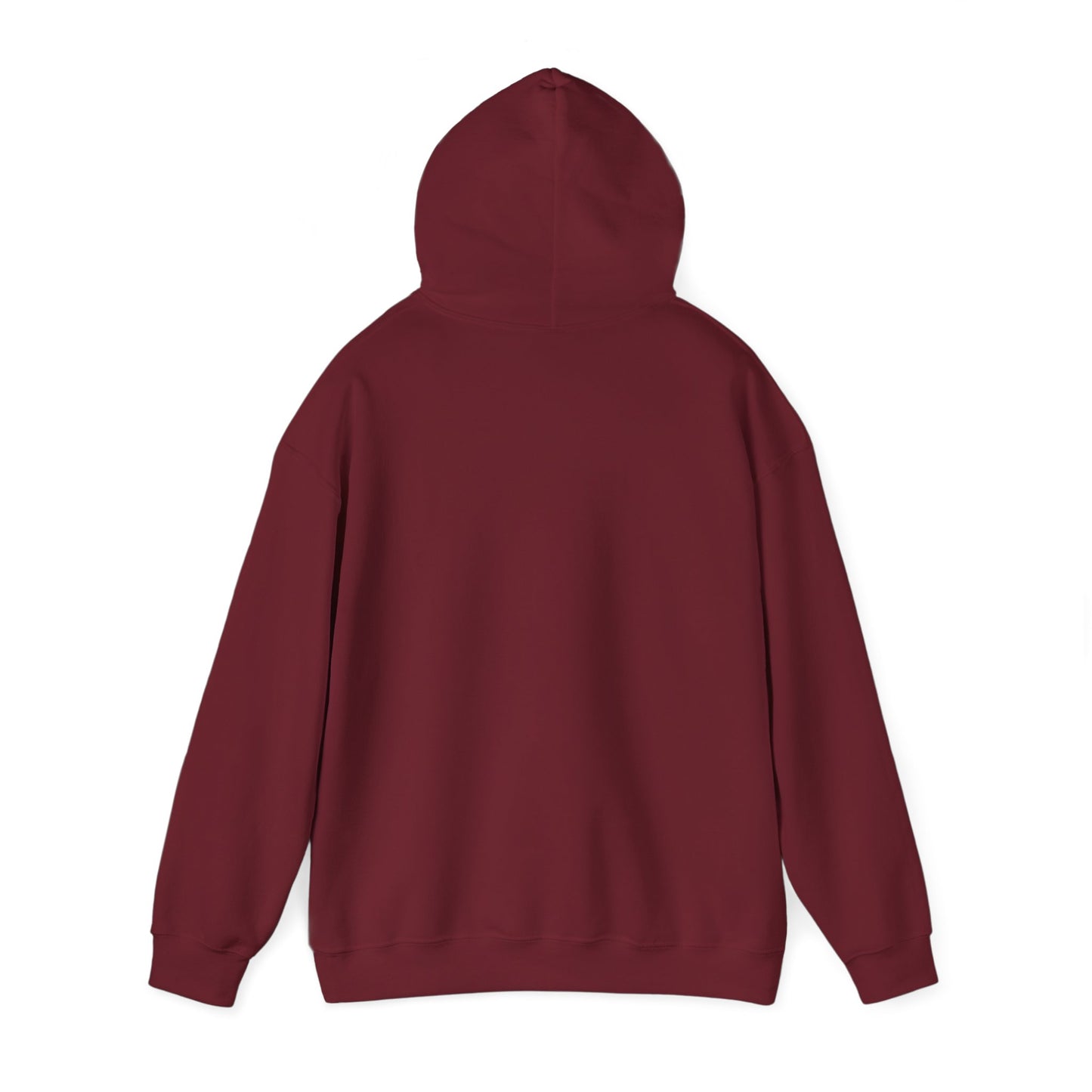 Blocky Piggy Unisex Hooded Sweatshirt - ALIQUOS