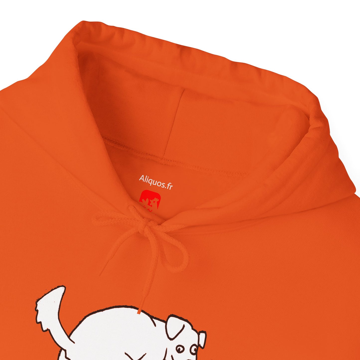 Unisex Hooded Sweatshirt - Doggy Rainbow Factory - ALIQUOS