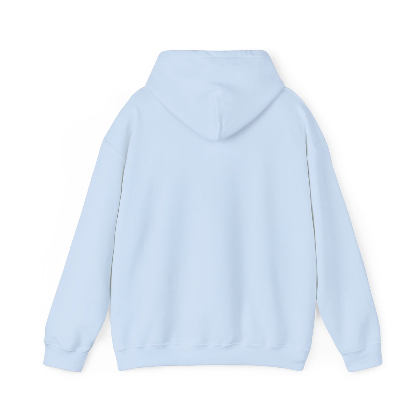 Blocky Piggy Unisex Hooded Sweatshirt - ALIQUOS