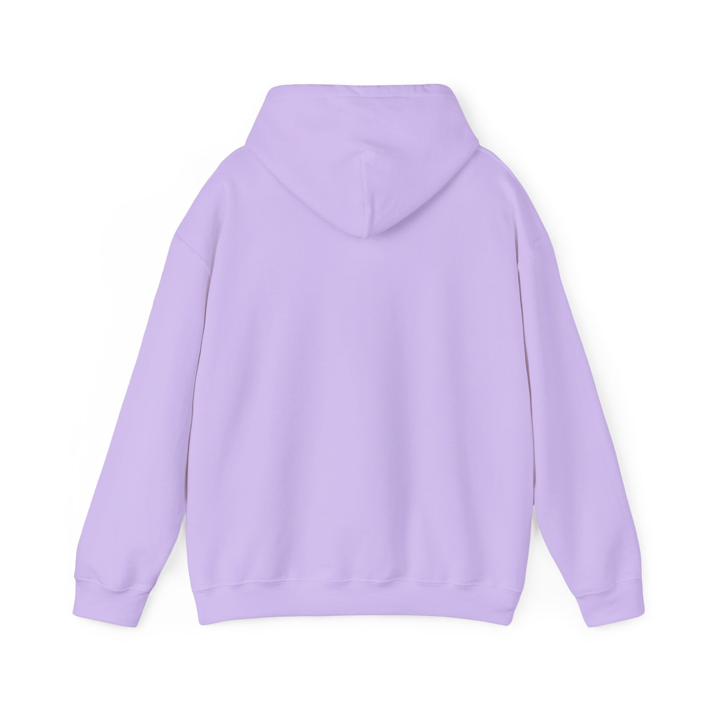 Blocky Piggy Unisex Hooded Sweatshirt - ALIQUOS