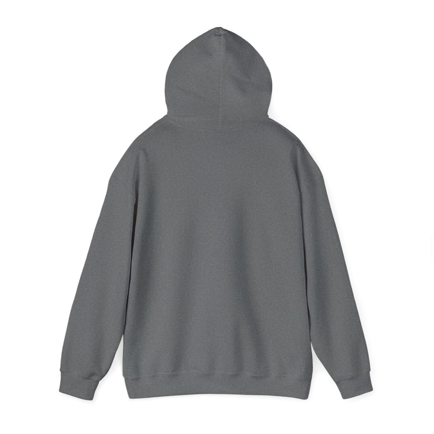 Blocky Piggy Unisex Hooded Sweatshirt - ALIQUOS