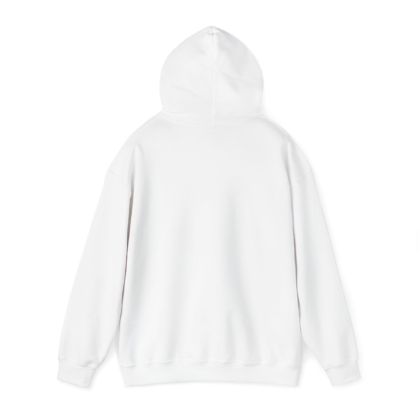 Blocky Piggy Unisex Hooded Sweatshirt - ALIQUOS