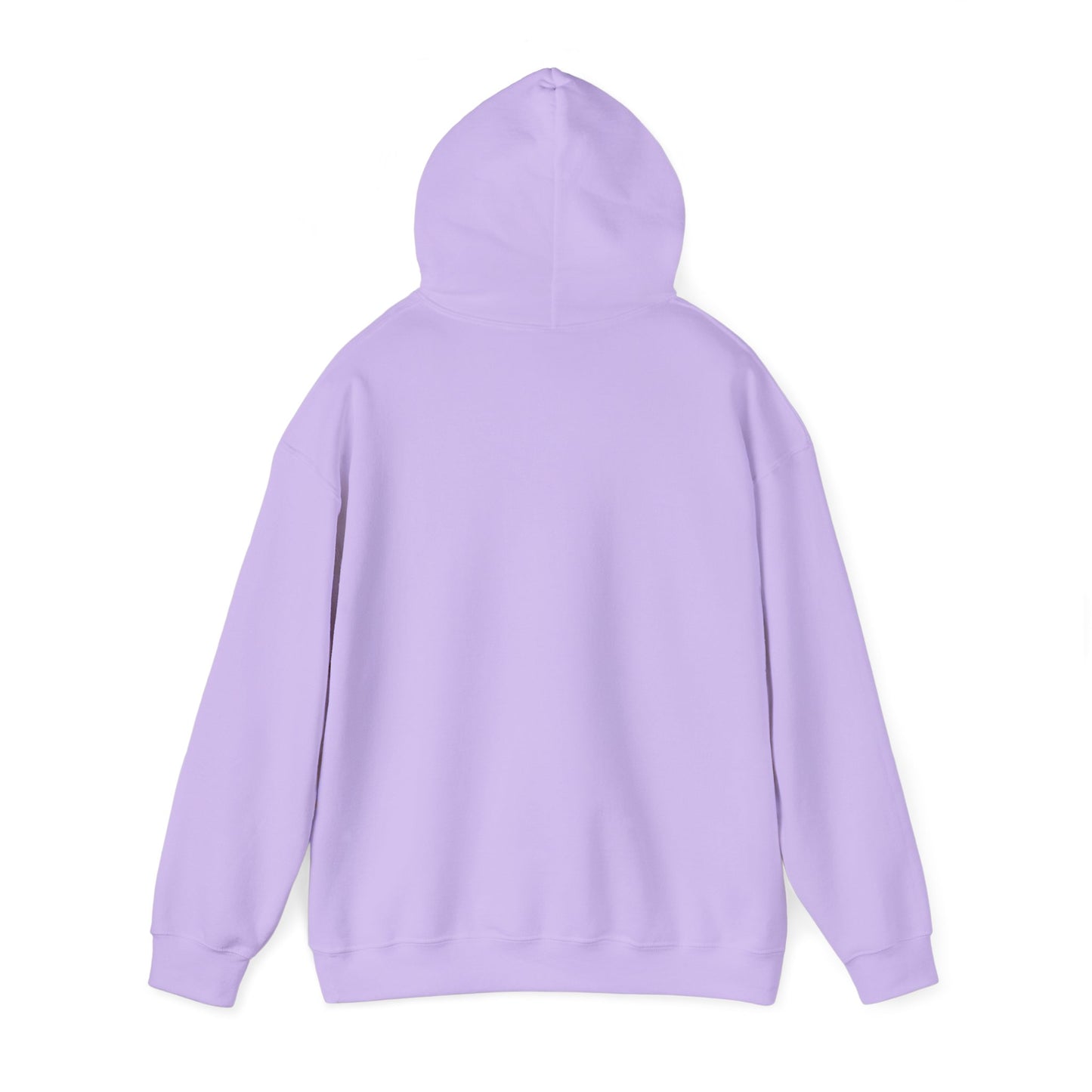 Blocky Piggy Unisex Hooded Sweatshirt - ALIQUOS