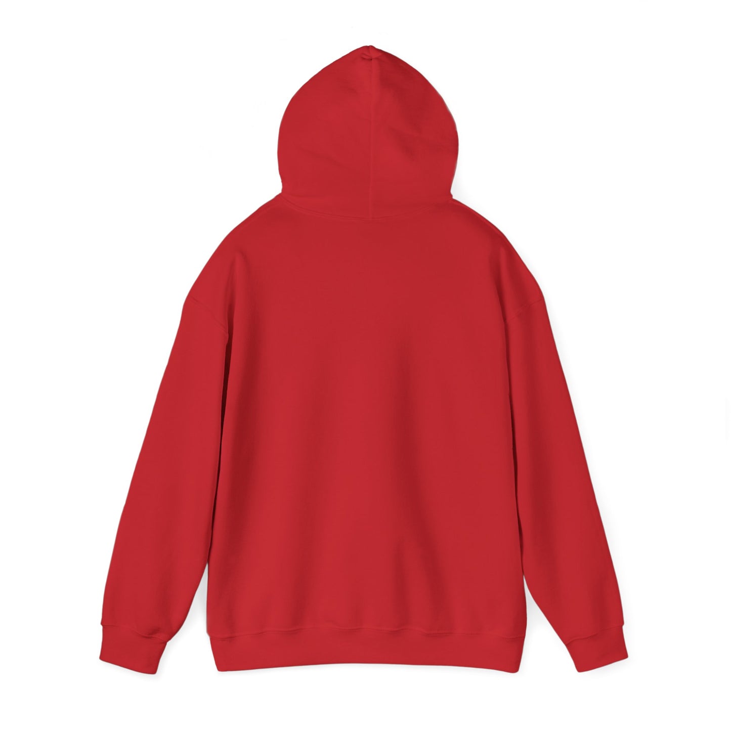 Blocky Piggy Unisex Hooded Sweatshirt - ALIQUOS