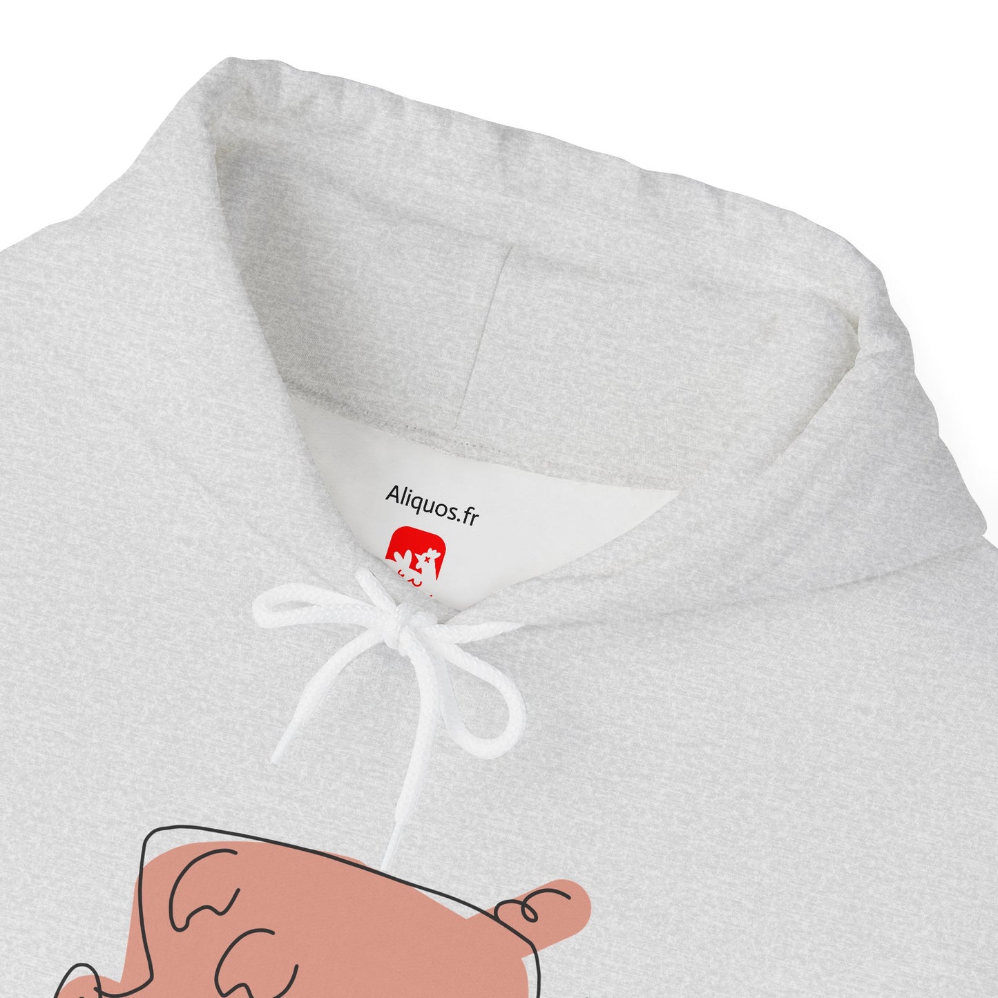 Blocky Piggy Unisex Hooded Sweatshirt - ALIQUOS