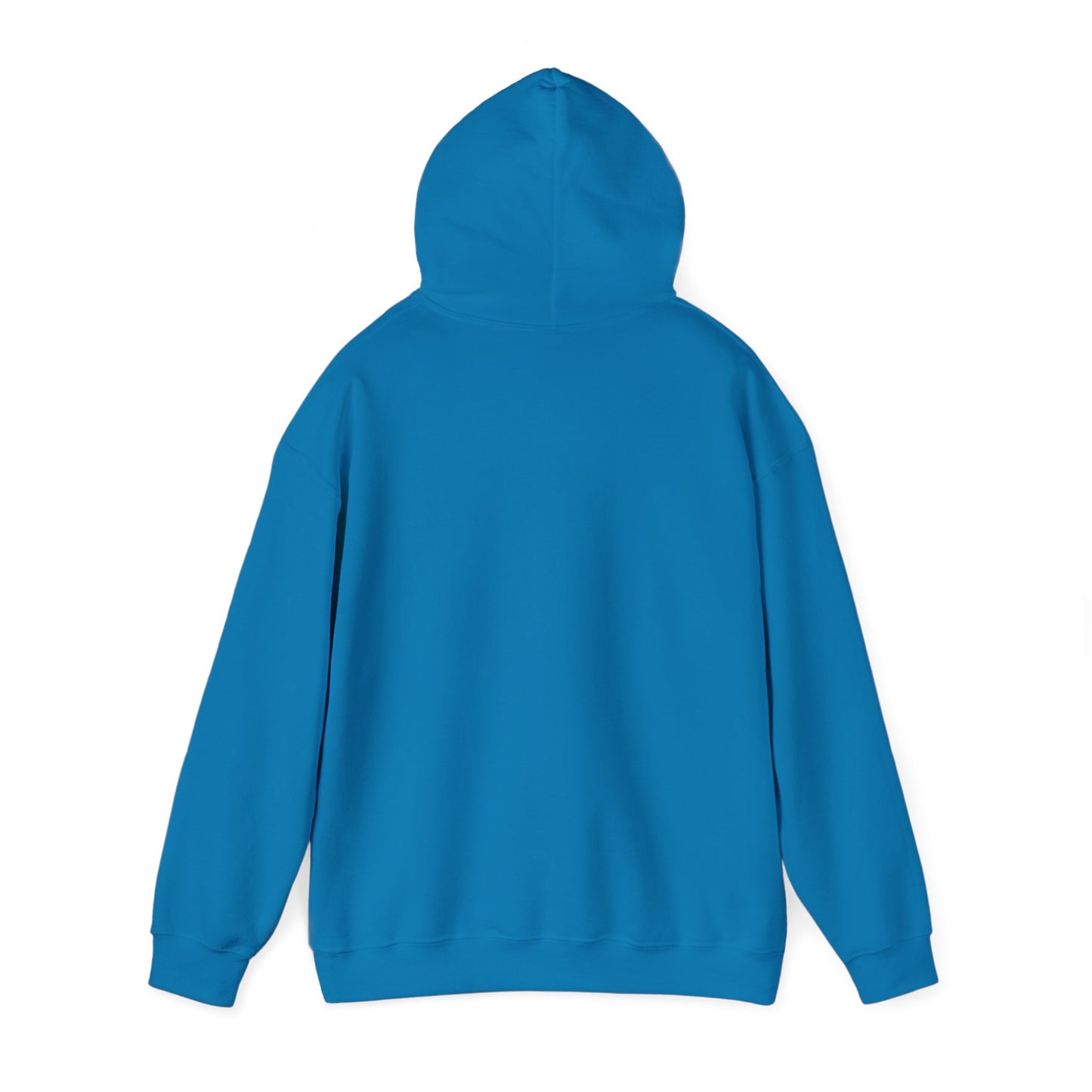 Blocky Piggy Unisex Hooded Sweatshirt - ALIQUOS