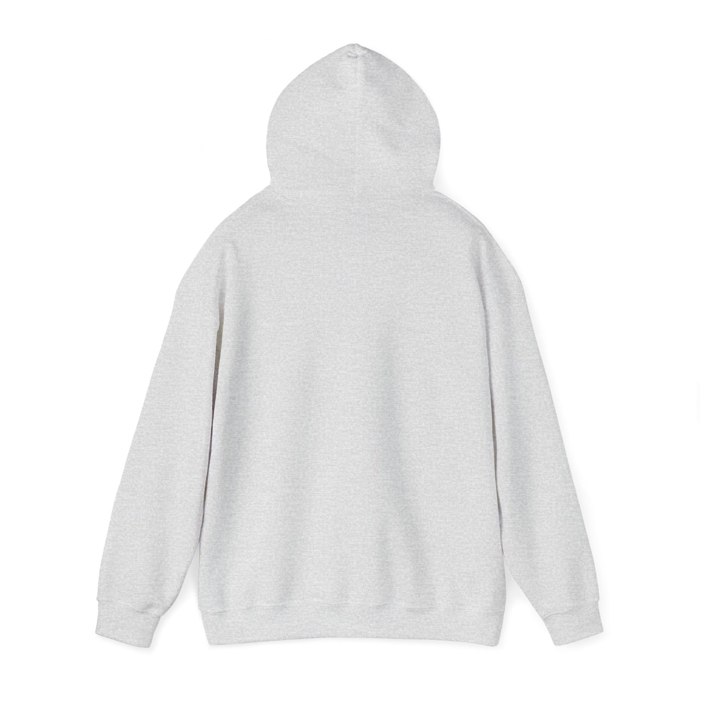 Blocky Piggy Unisex Hooded Sweatshirt - ALIQUOS