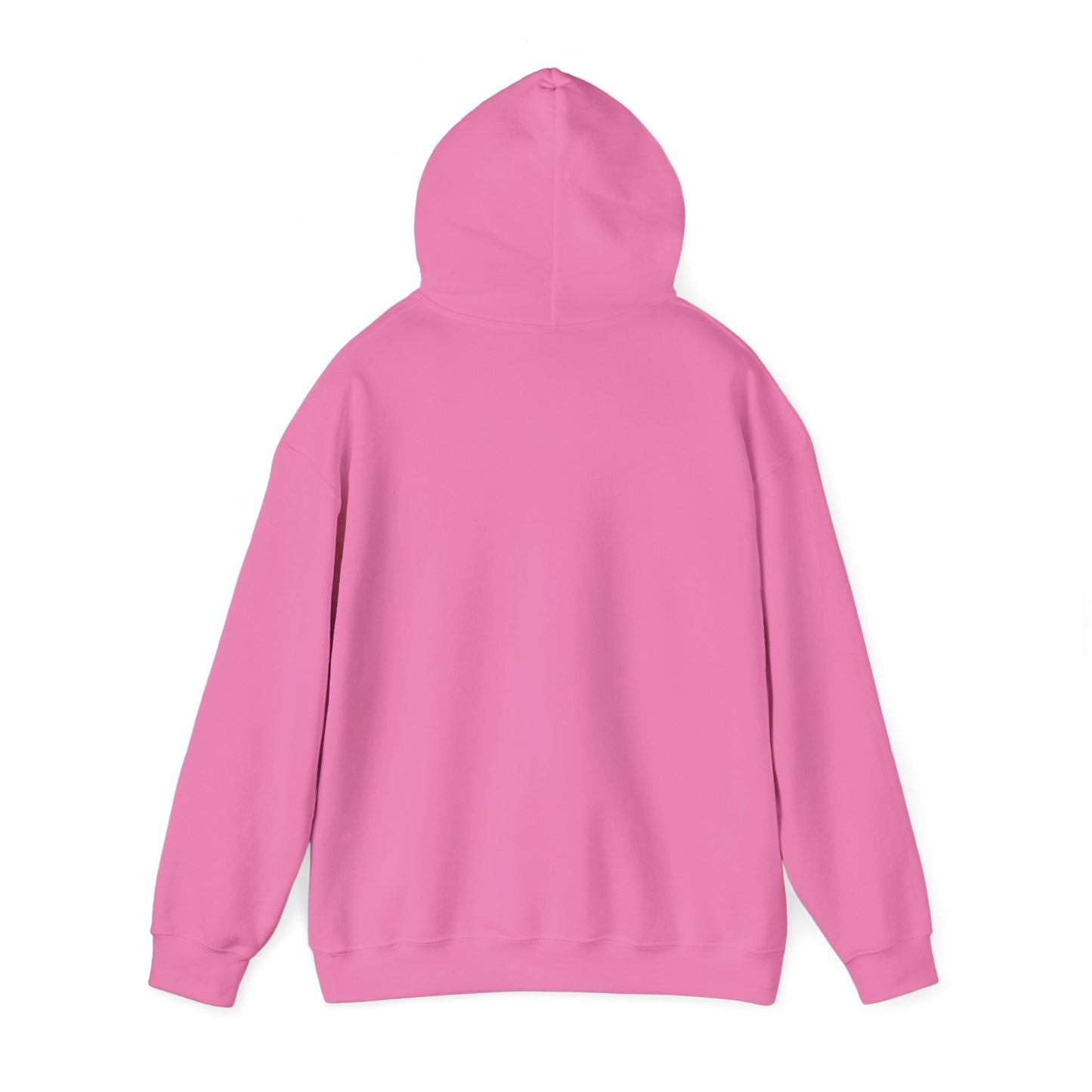 Sweat à capuche unisexe Flying Piggy
