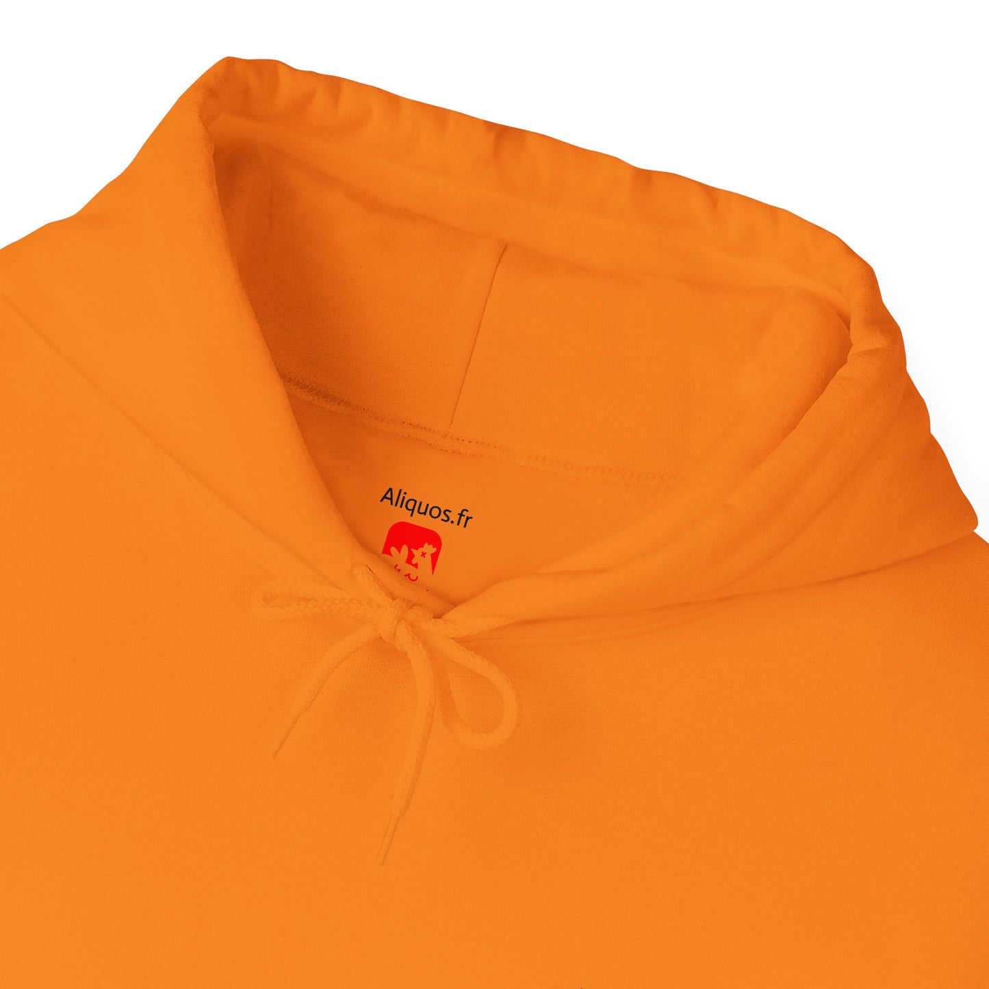 Sweat à capuche unisexe - Motif « Ai-je entendu un éternuement ? »