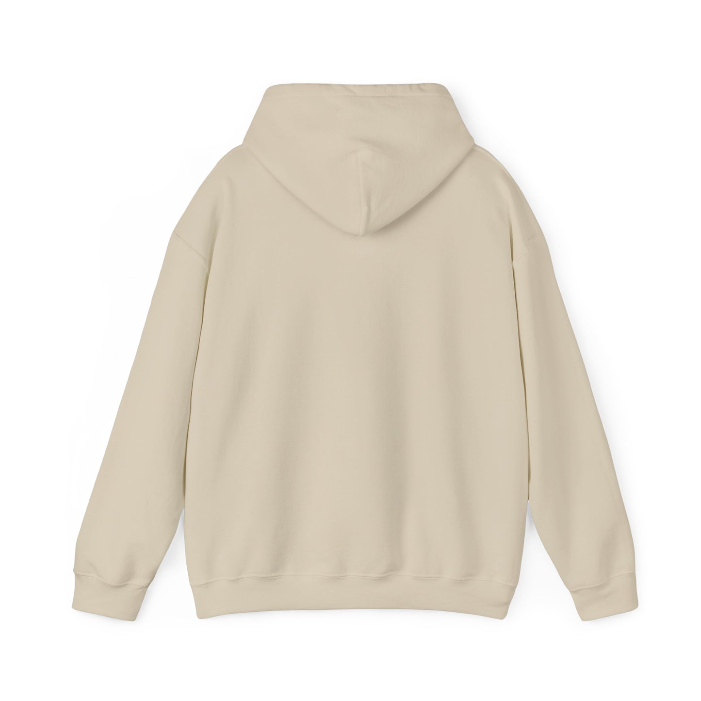 Blocky Piggy Unisex Hooded Sweatshirt - ALIQUOS