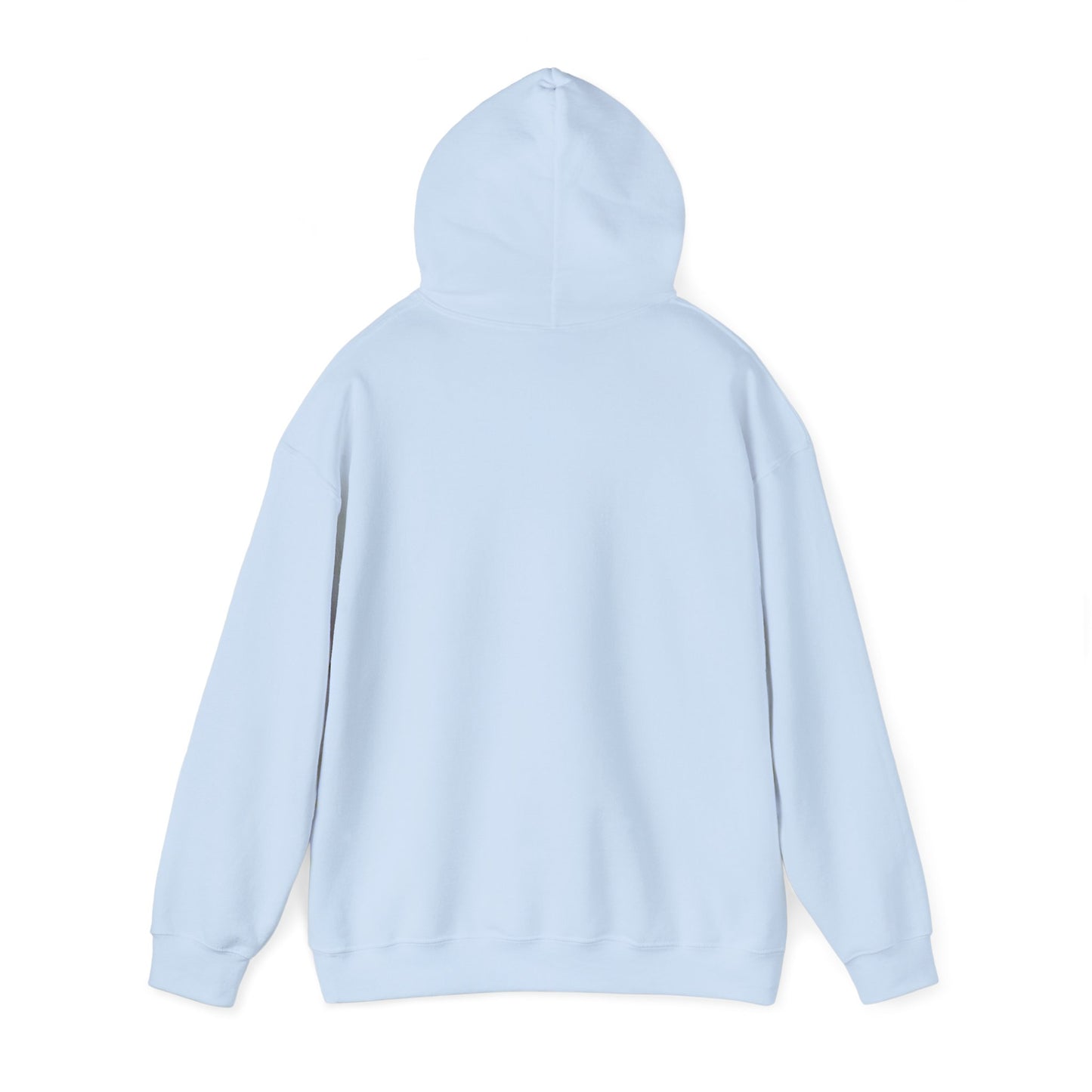 Blocky Piggy Unisex Hooded Sweatshirt - ALIQUOS