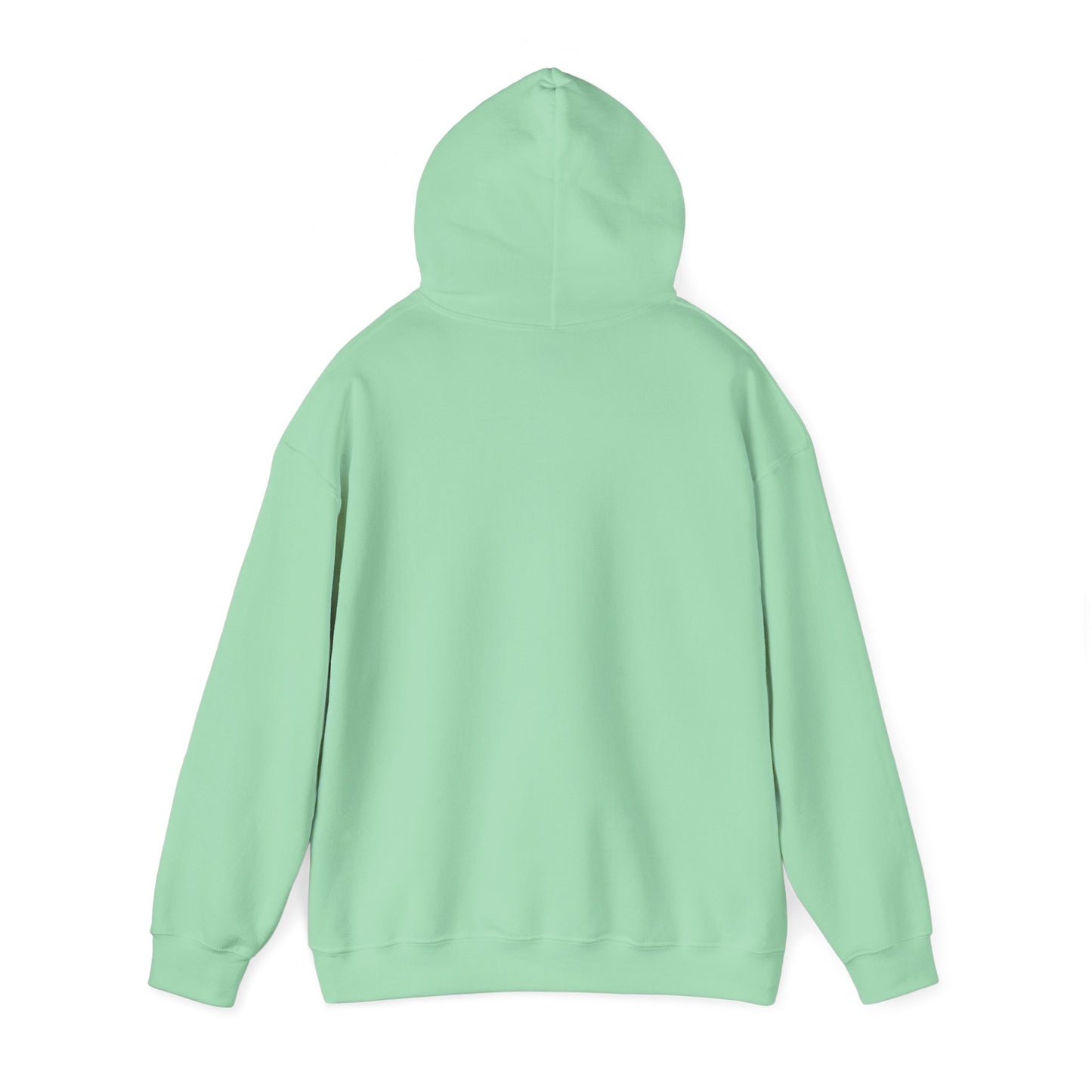 Blocky Piggy Unisex Hooded Sweatshirt - ALIQUOS