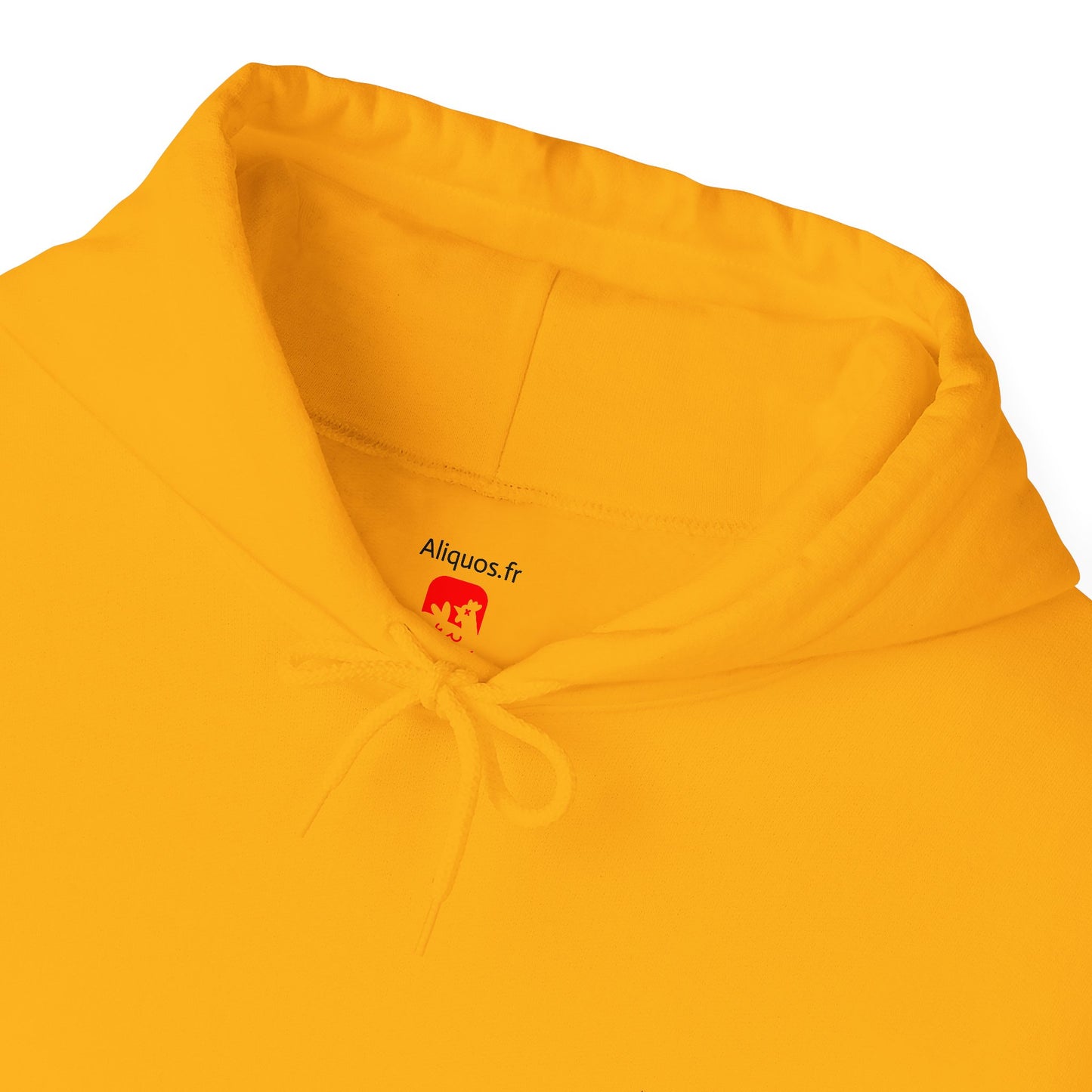 Sweat à capuche unisexe - Motif « Ai-je entendu un éternuement ? »