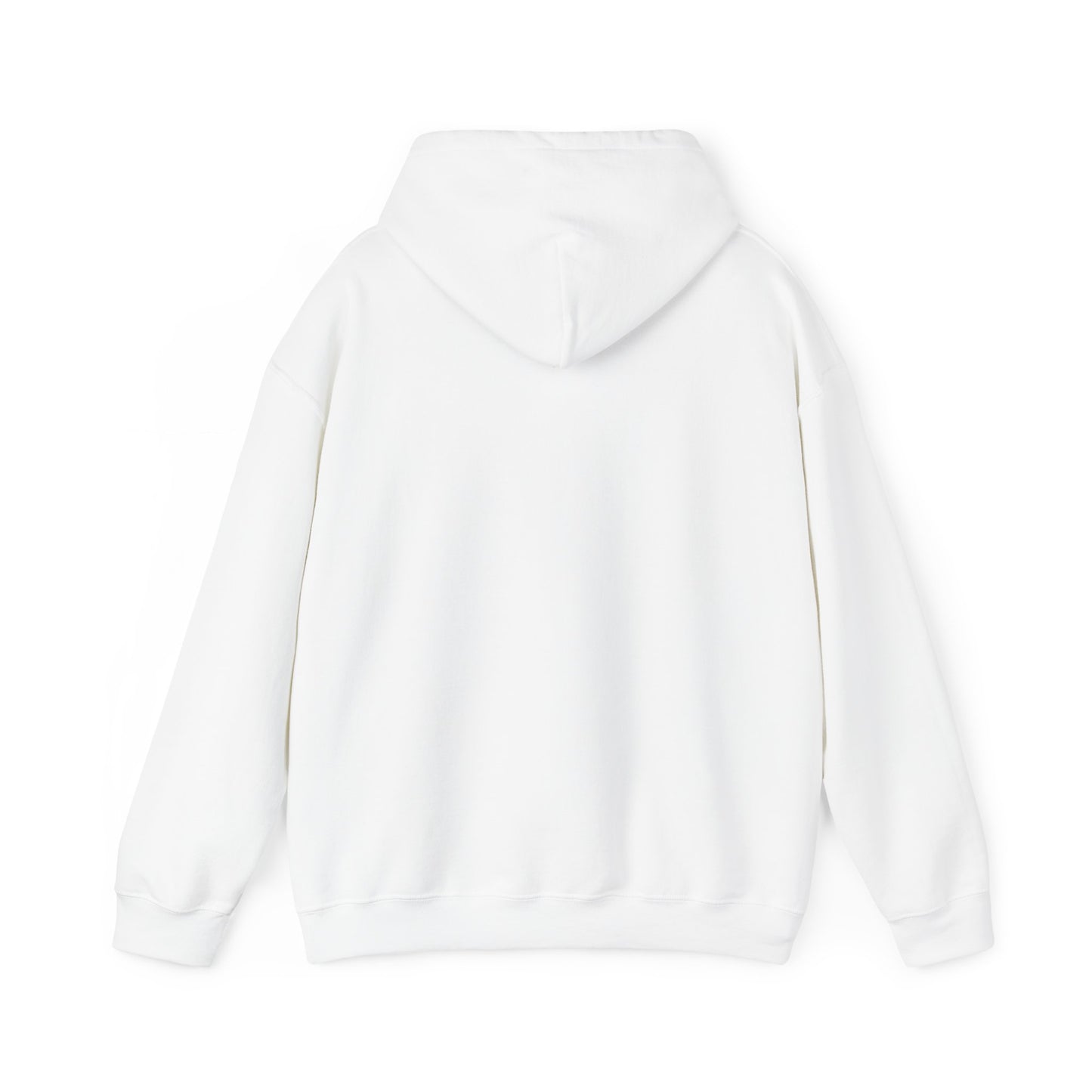 Blocky Piggy Unisex Hooded Sweatshirt - ALIQUOS