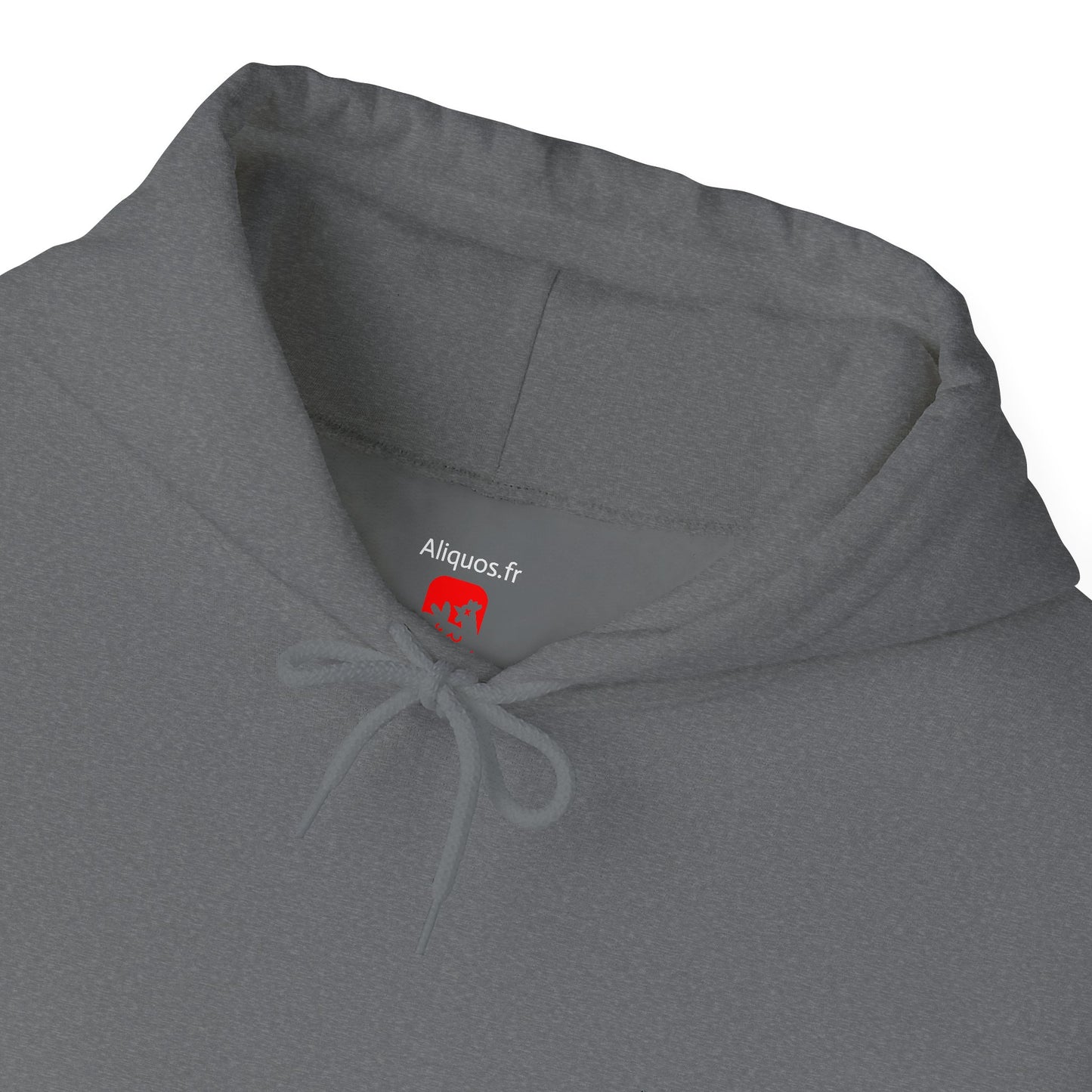 Sweat à capuche unisexe - Motif « Ai-je entendu un éternuement ? »