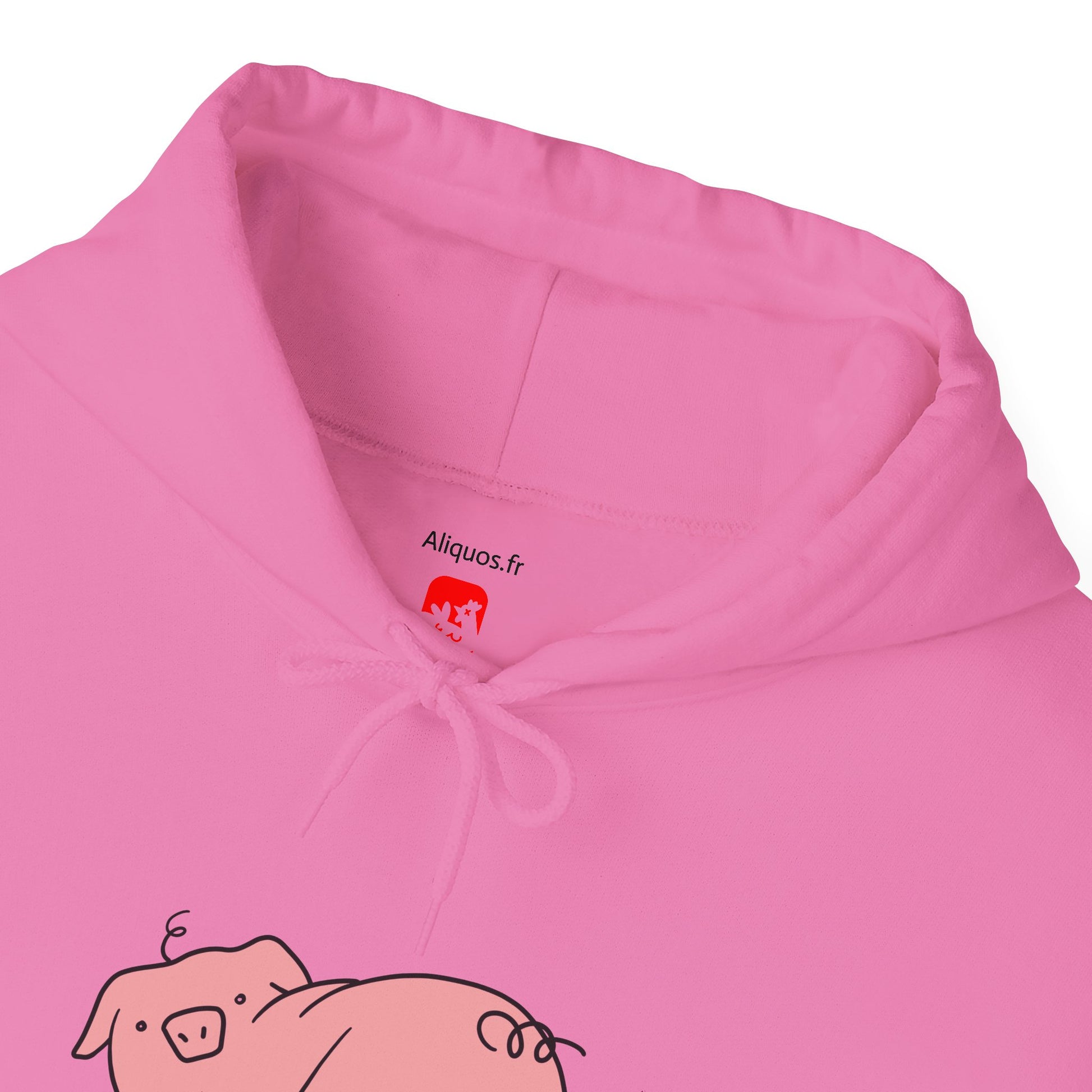 Piggy Rear Unisex Hooded Sweatshirt - ALIQUOS