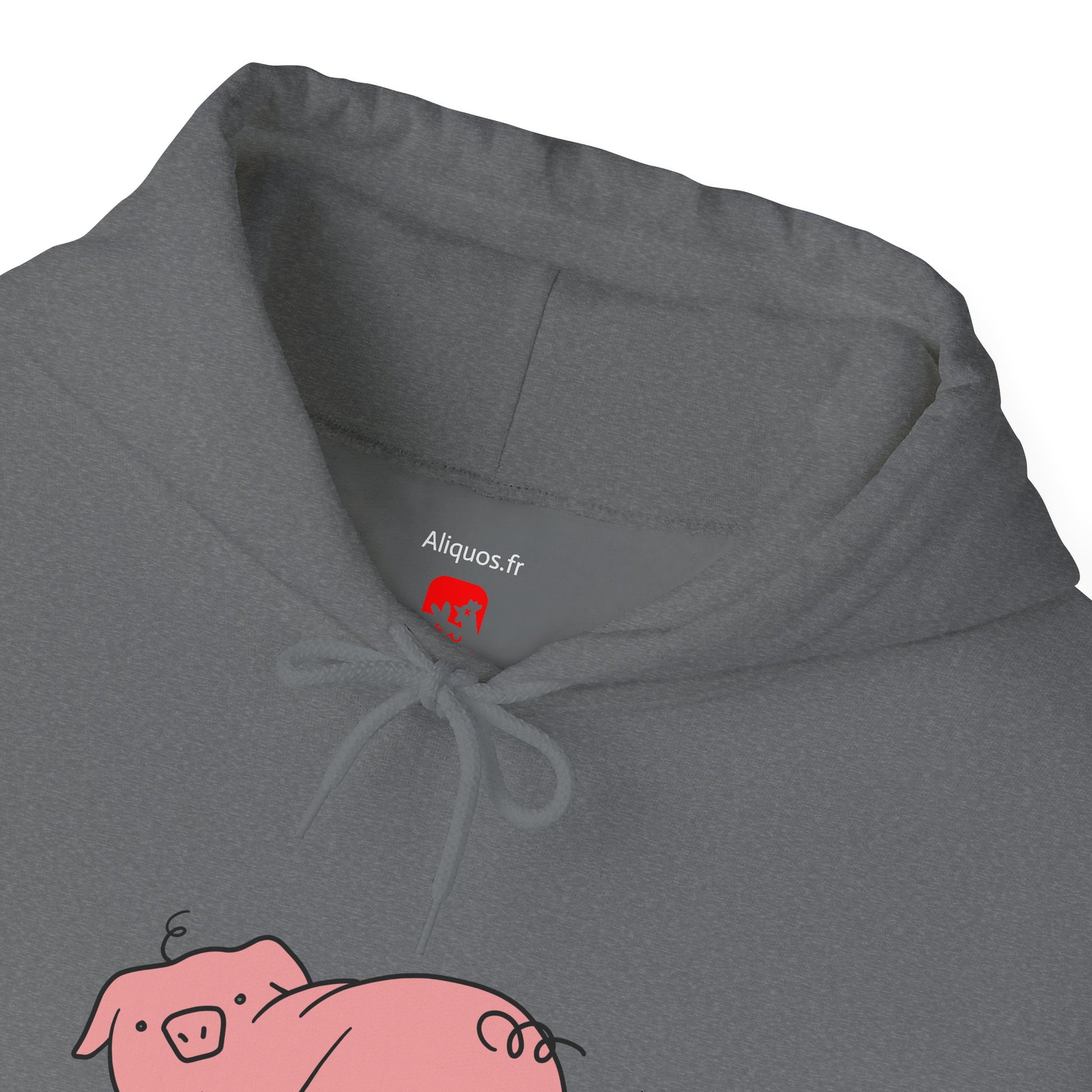 Piggy Rear Unisex Hooded Sweatshirt - ALIQUOS