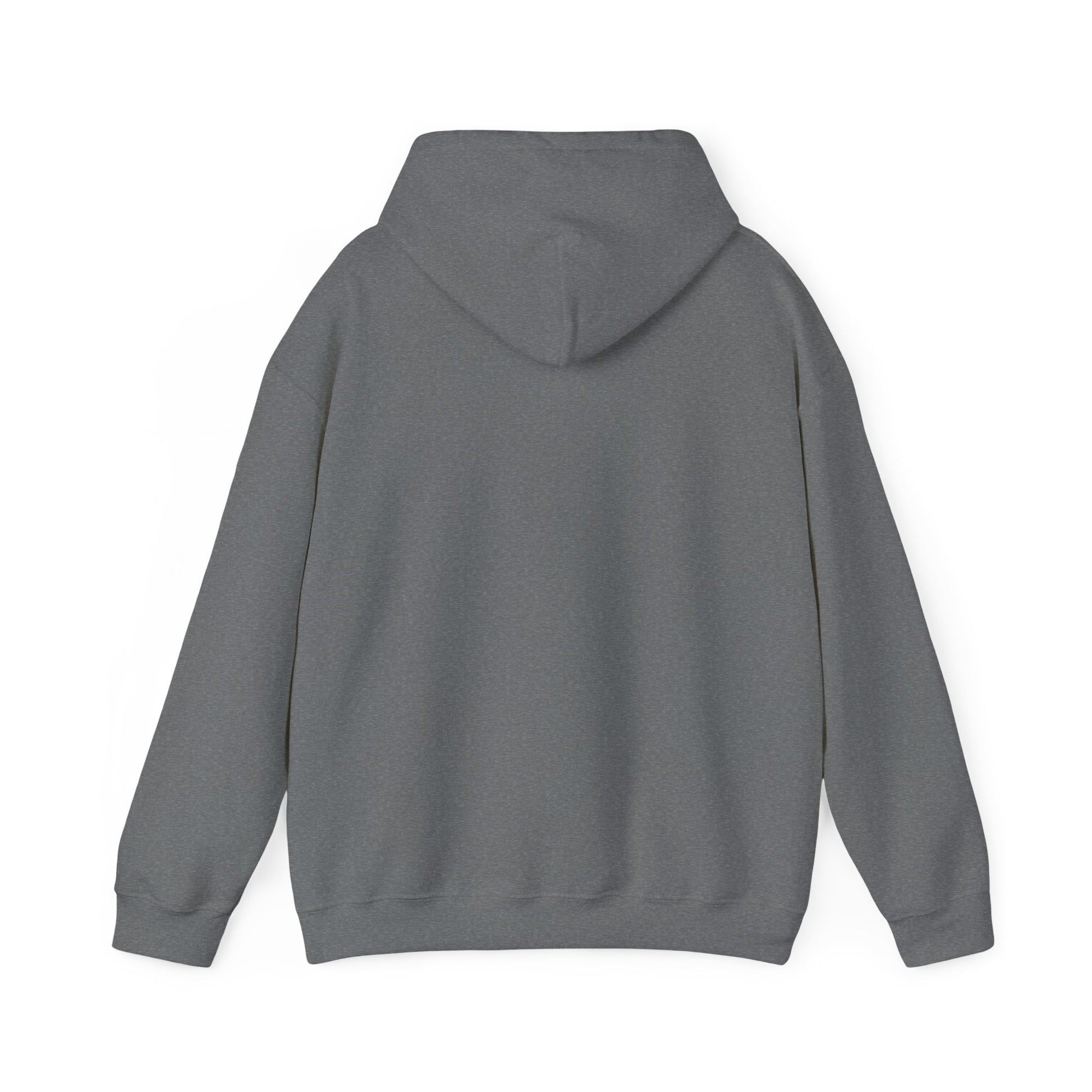 Chubby Piggy Unisex Hooded Sweatshirt - ALIQUOS