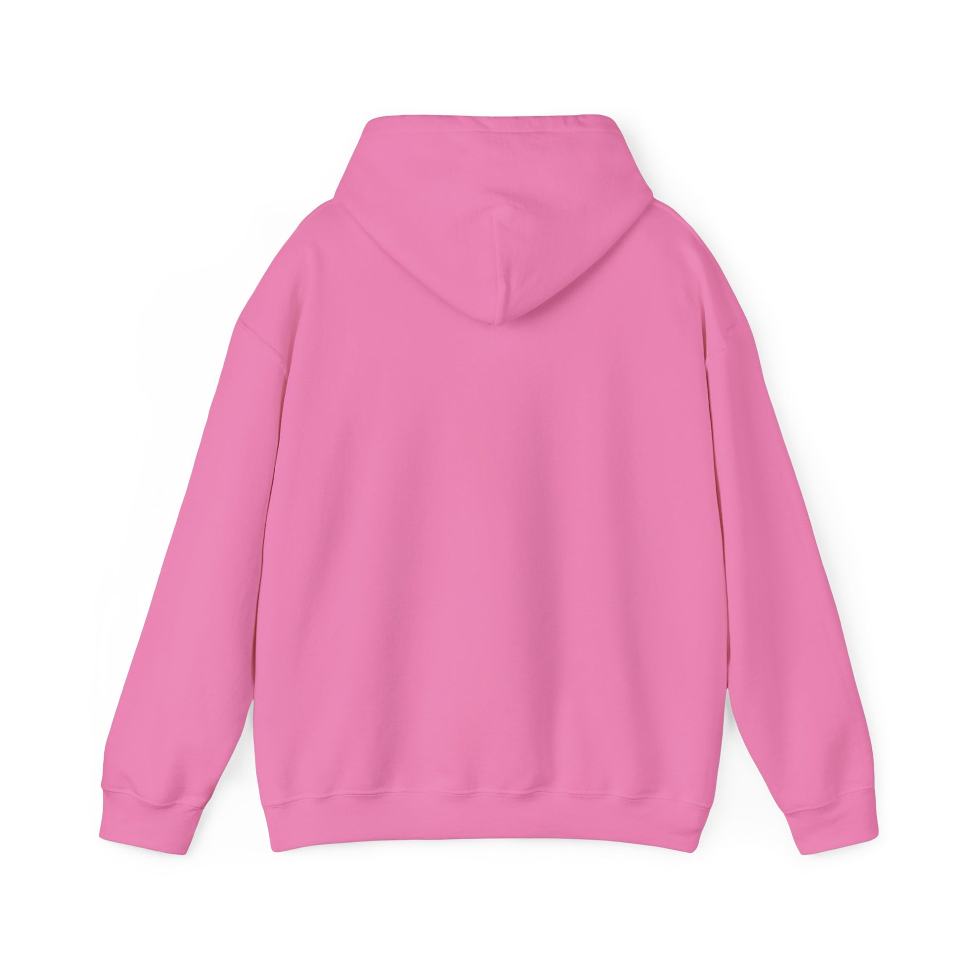 Piggy Rear Unisex Hooded Sweatshirt - ALIQUOS