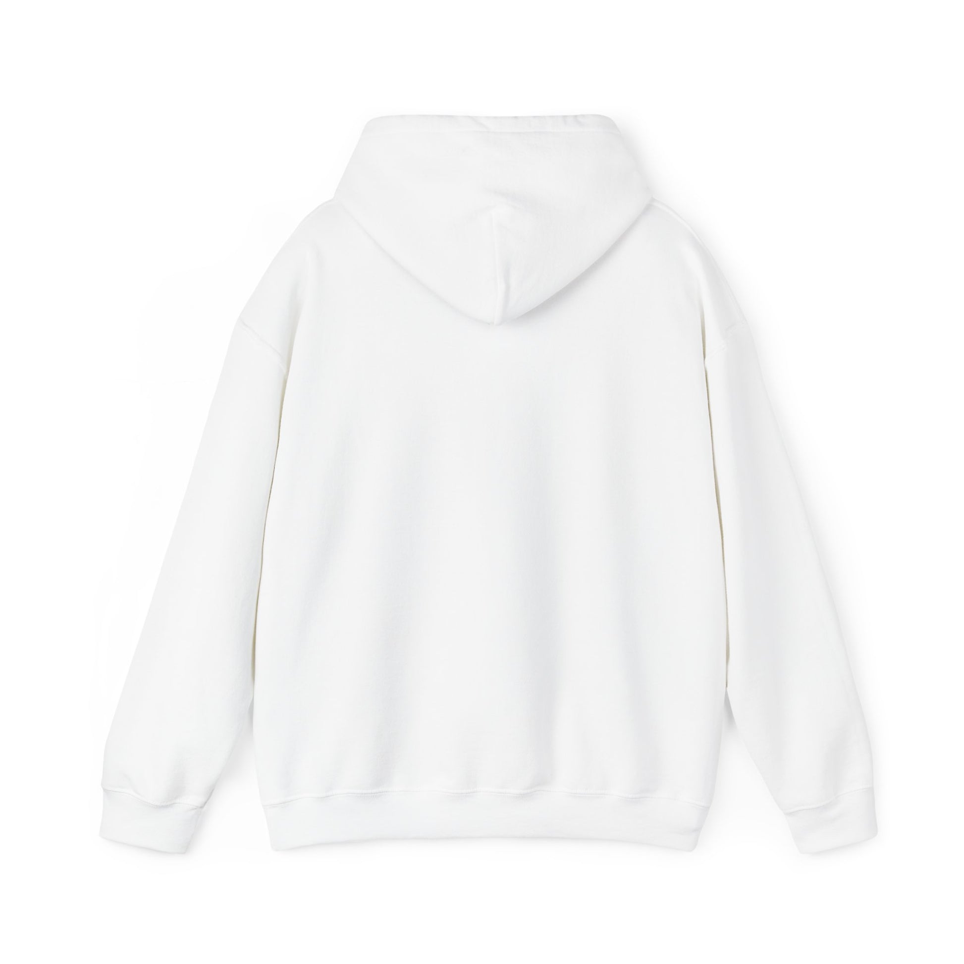 Chubby Piggy Unisex Hooded Sweatshirt - ALIQUOS