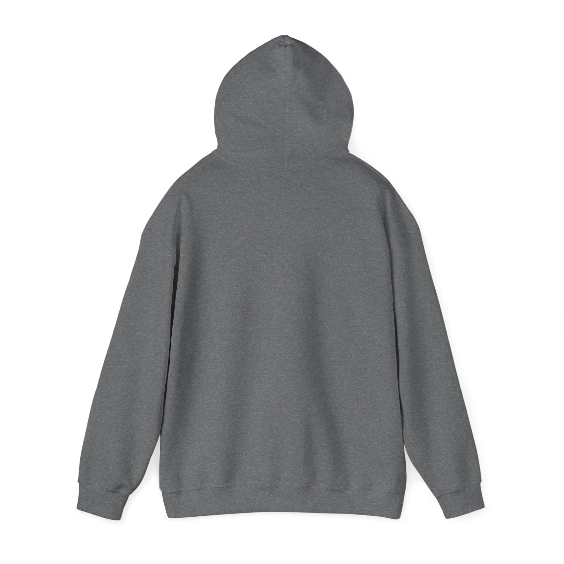 Blocky Piggy Unisex Hooded Sweatshirt - ALIQUOS