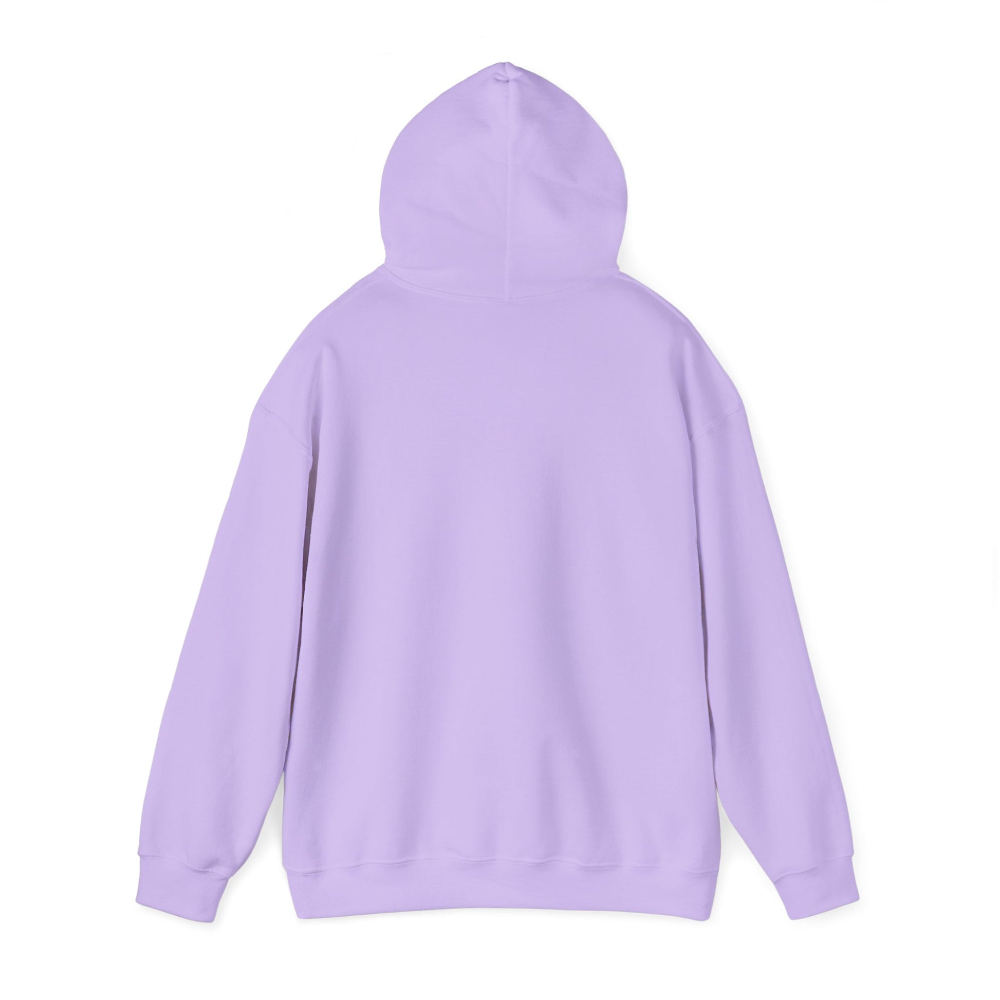 Blocky Piggy Unisex Hooded Sweatshirt - ALIQUOS