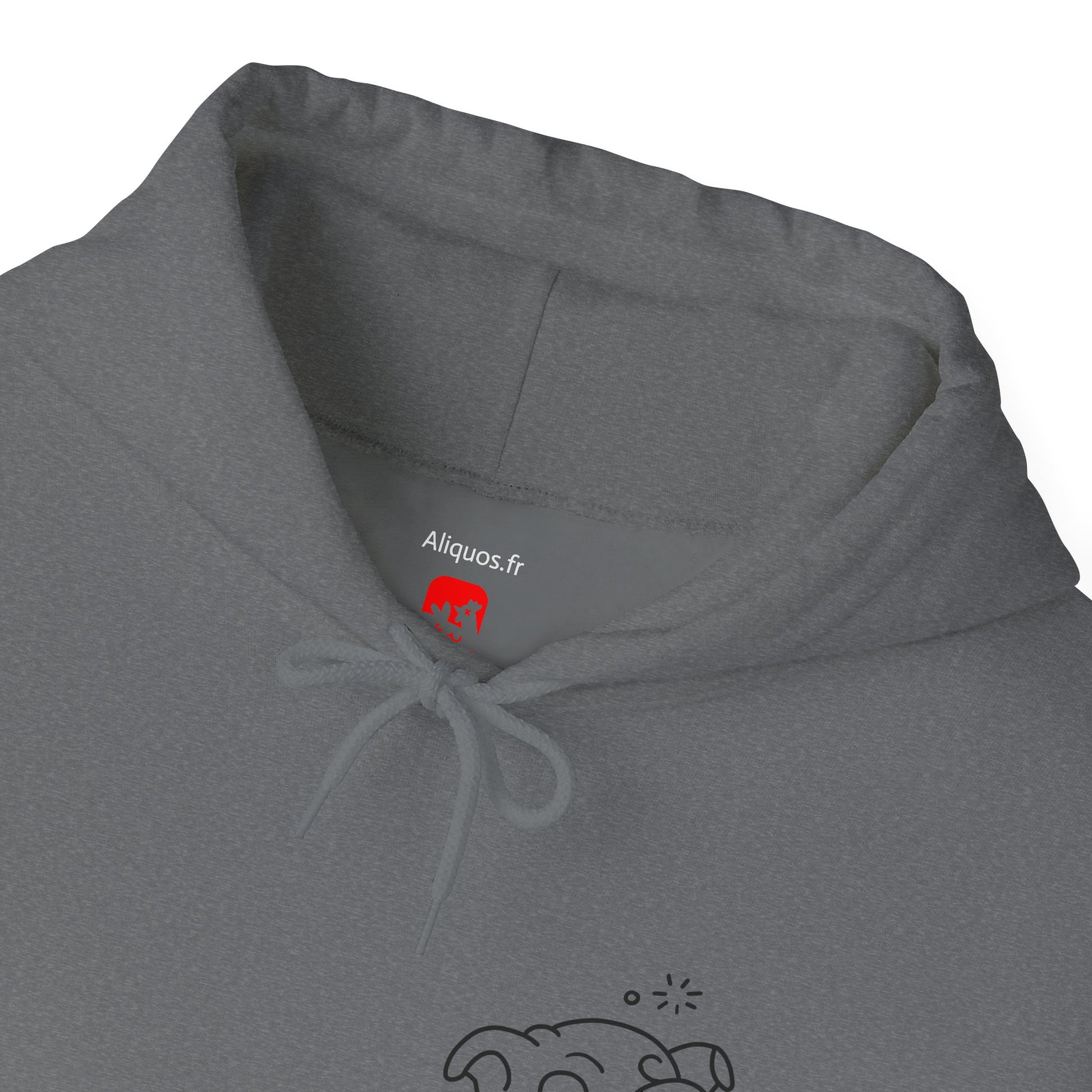 Drunken Piggy Unisex Hooded Sweatshirt - ALIQUOS