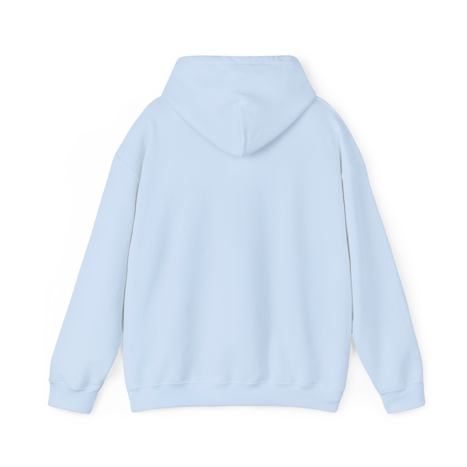 Chubby Piggy Unisex Hooded Sweatshirt - ALIQUOS