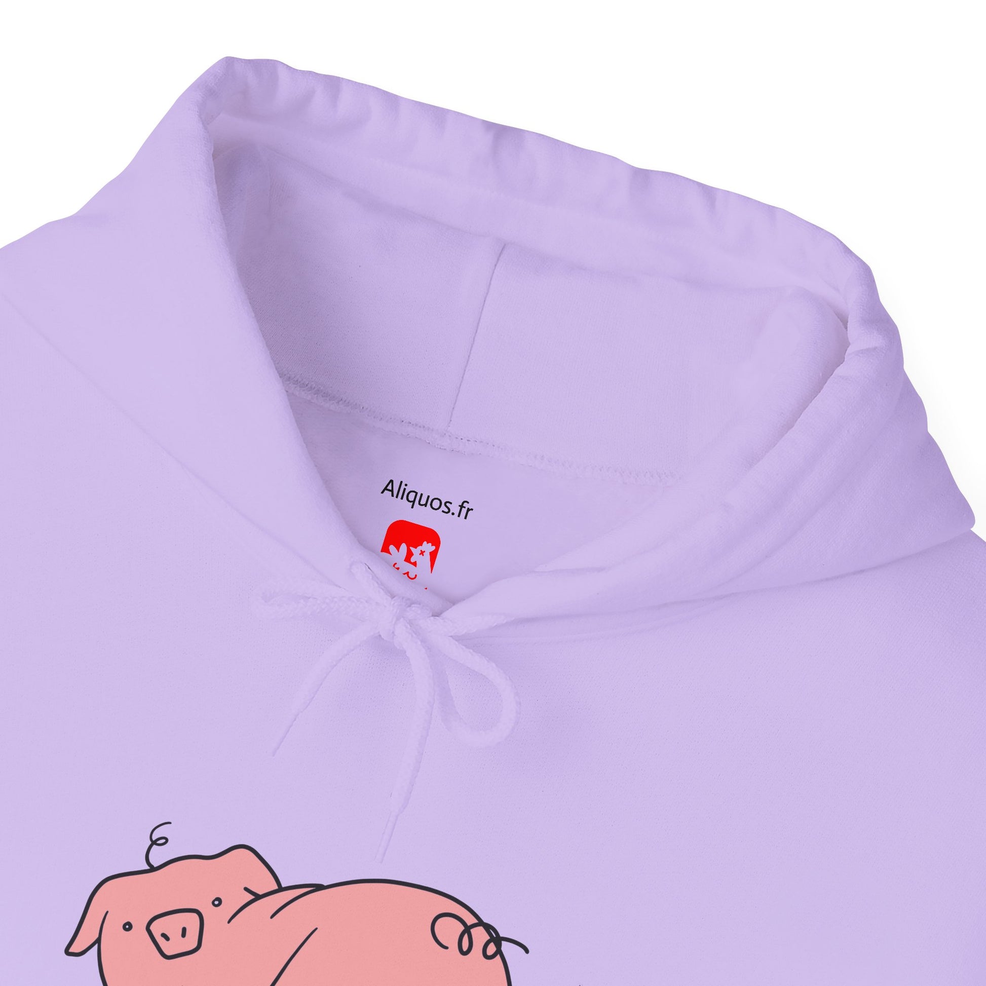 Piggy Rear Unisex Hooded Sweatshirt - ALIQUOS
