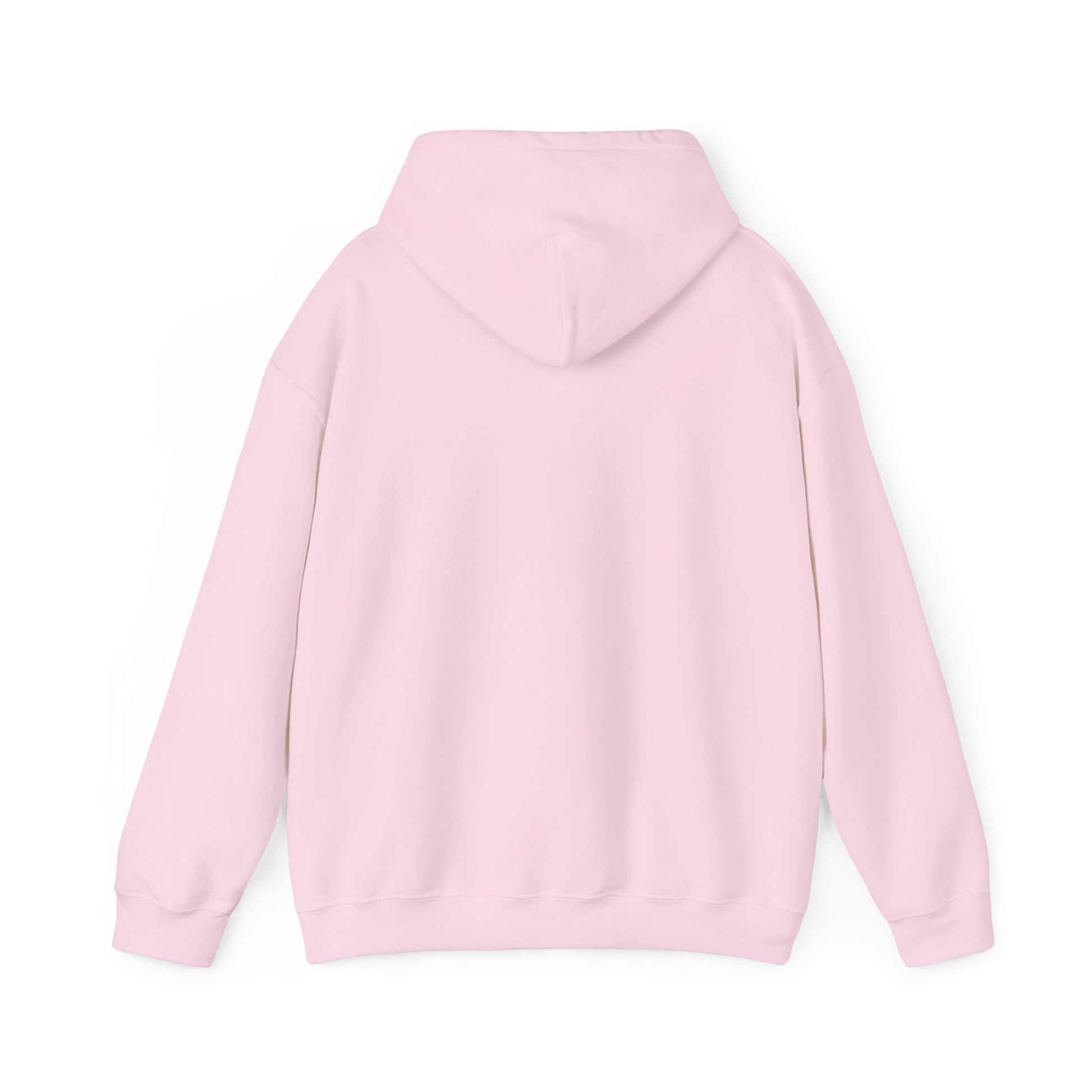 Chubby Piggy Unisex Hooded Sweatshirt - ALIQUOS