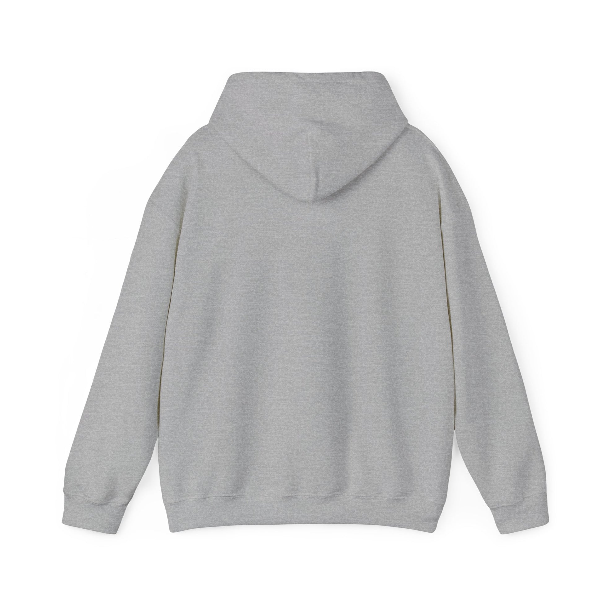 Piggy Rear Unisex Hooded Sweatshirt - ALIQUOS