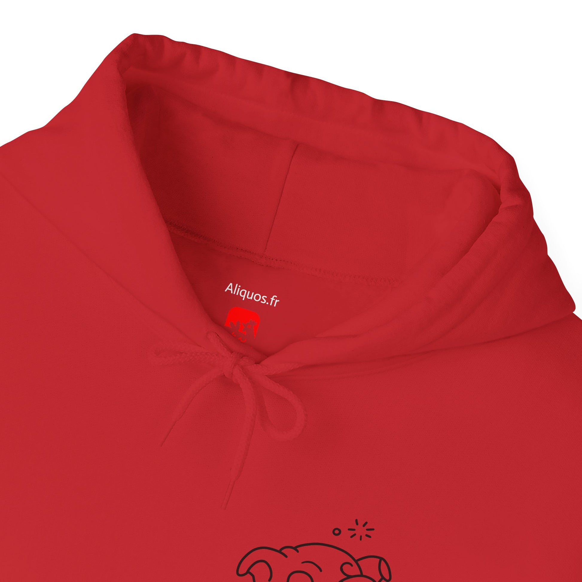 Drunken Piggy Unisex Hooded Sweatshirt - ALIQUOS