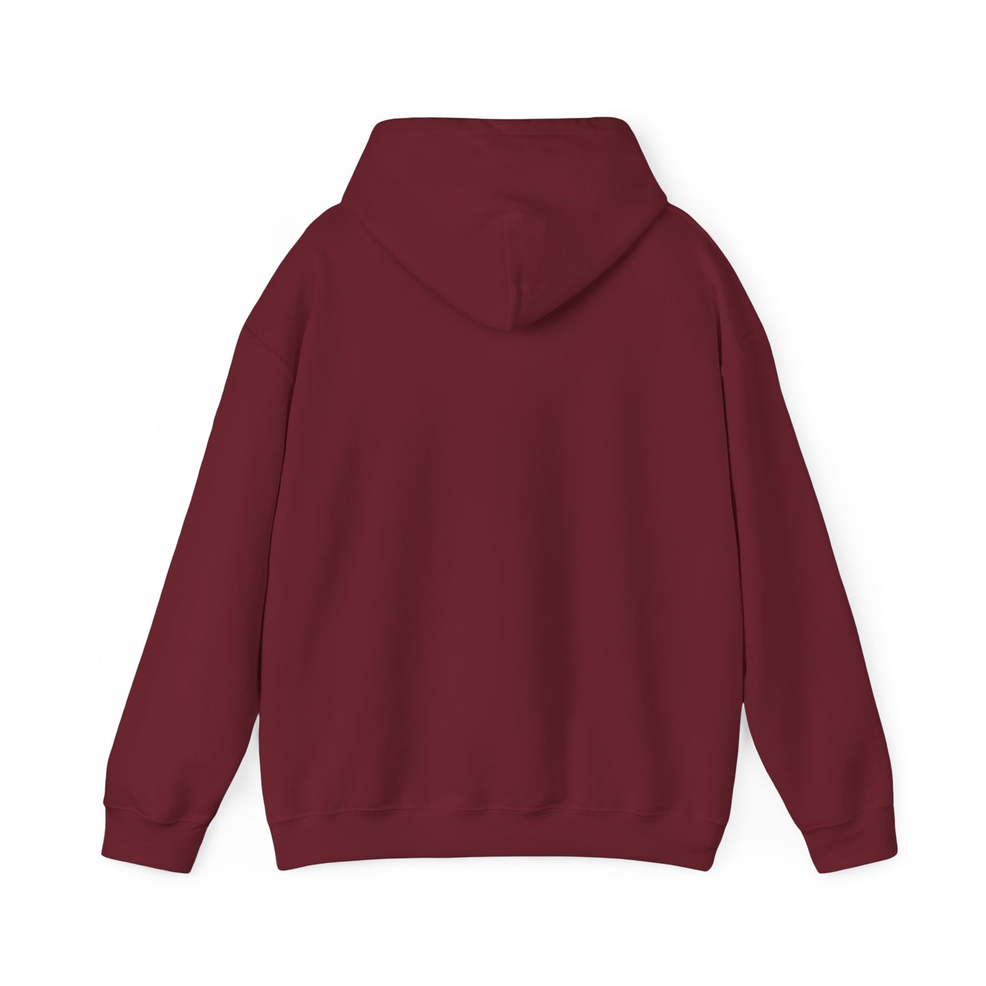 Chubby Piggy Unisex Hooded Sweatshirt - ALIQUOS