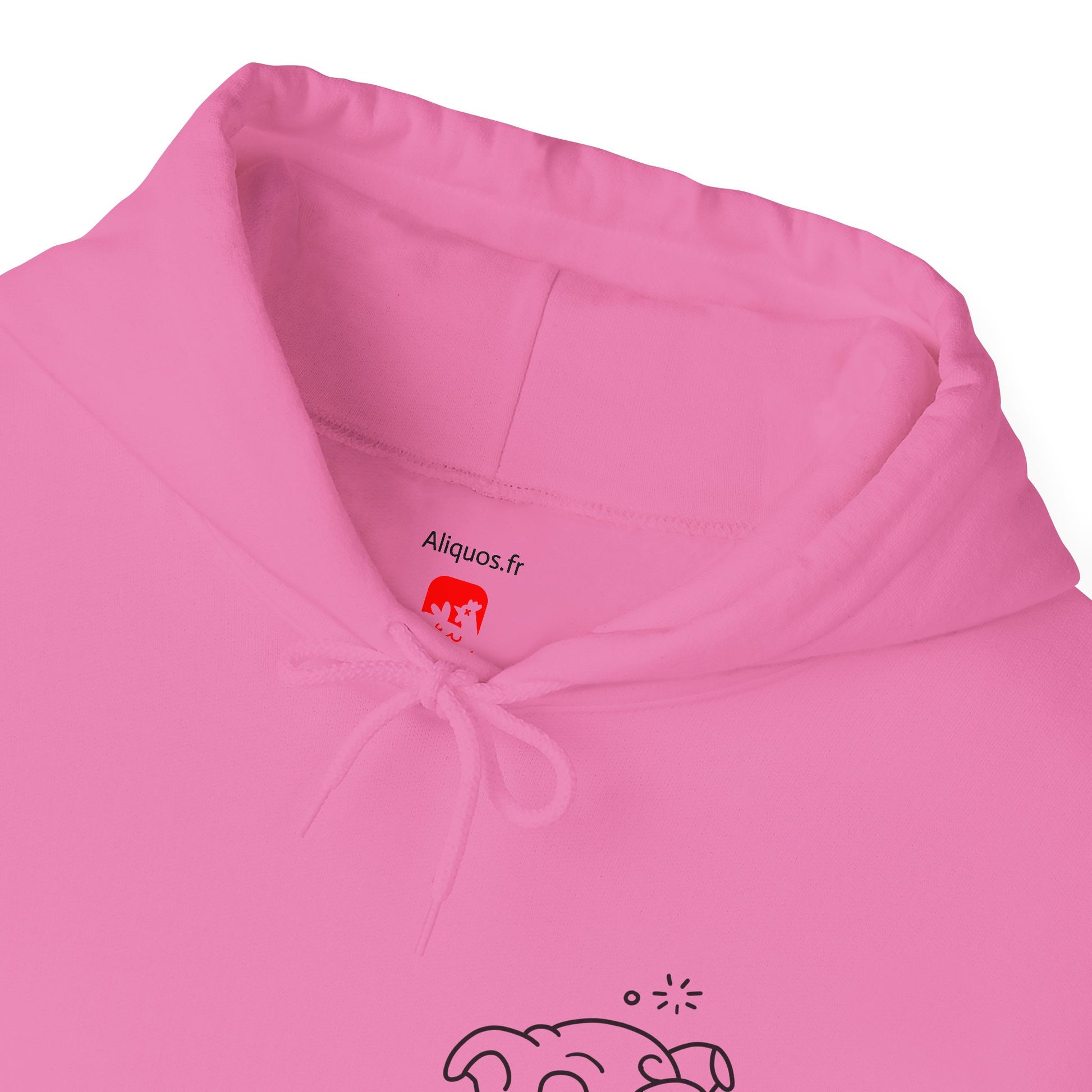 Drunken Piggy Unisex Hooded Sweatshirt - ALIQUOS
