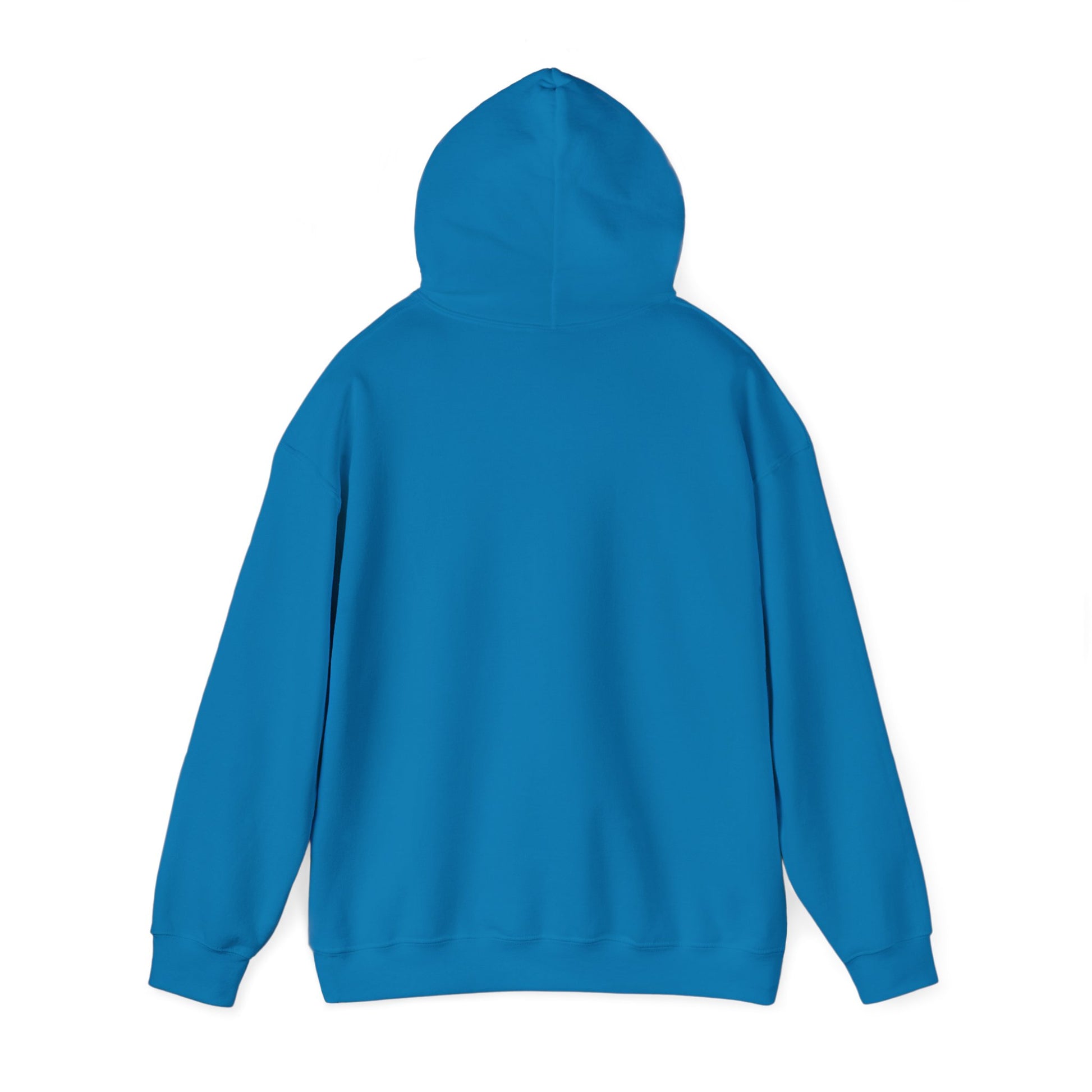 Blocky Piggy Unisex Hooded Sweatshirt - ALIQUOS
