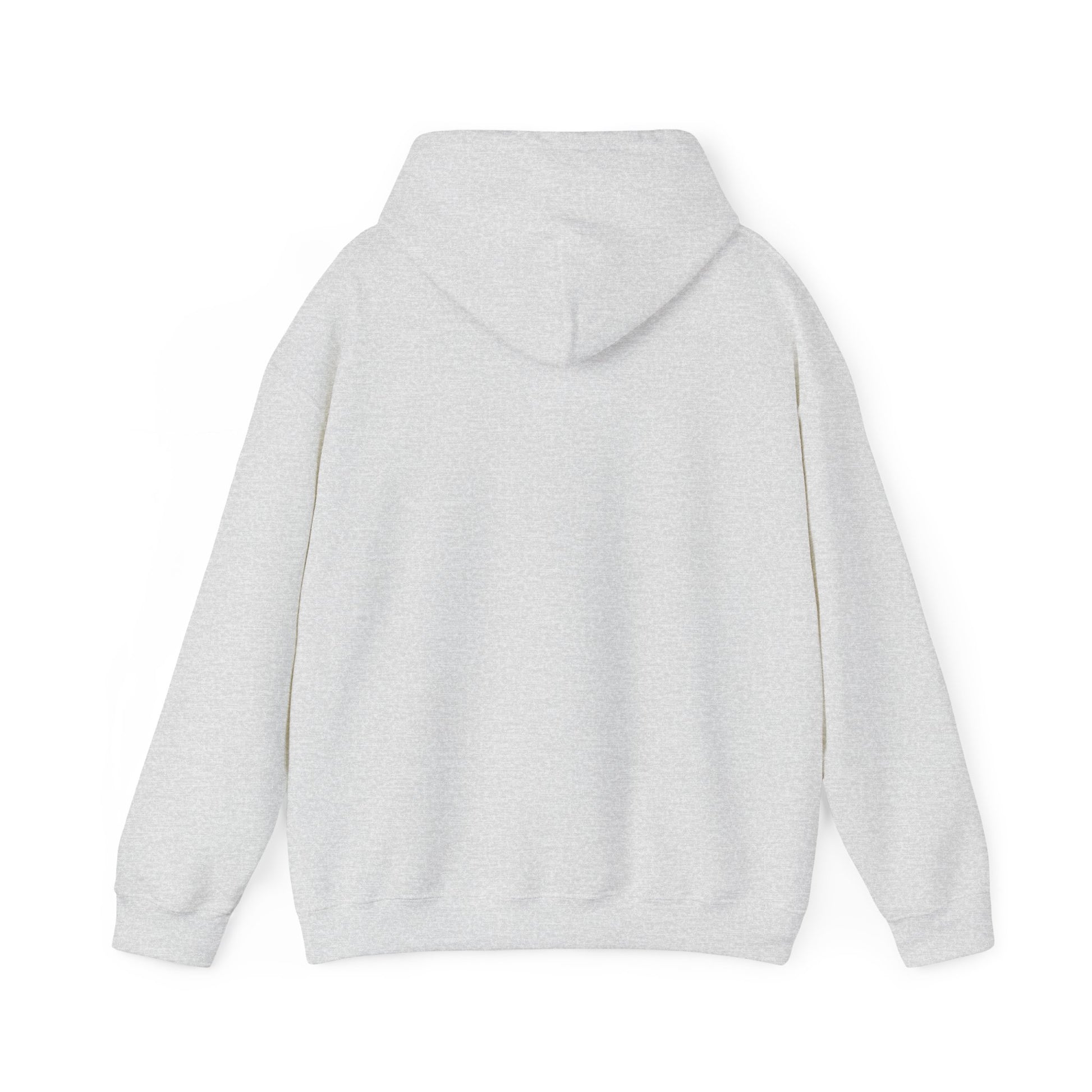 Chubby Piggy Unisex Hooded Sweatshirt - ALIQUOS