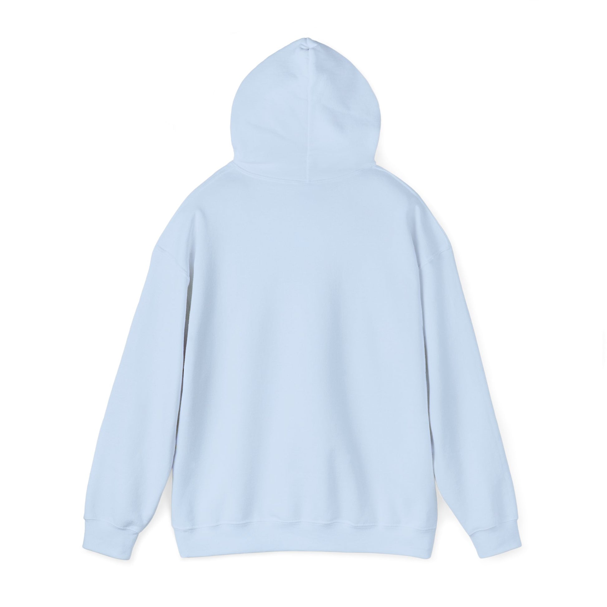 Blocky Piggy Unisex Hooded Sweatshirt - ALIQUOS