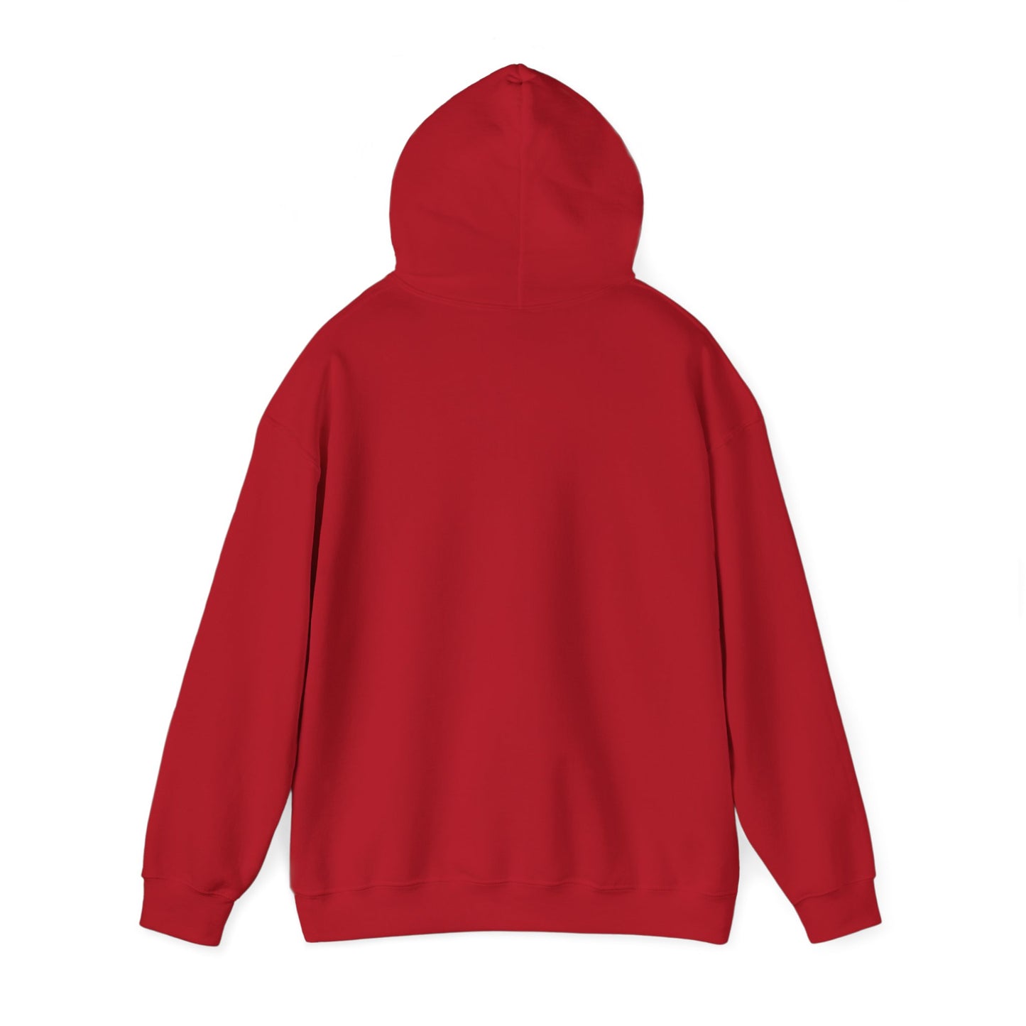 Sweat à capuche unisexe - Loutre de Noël 12 