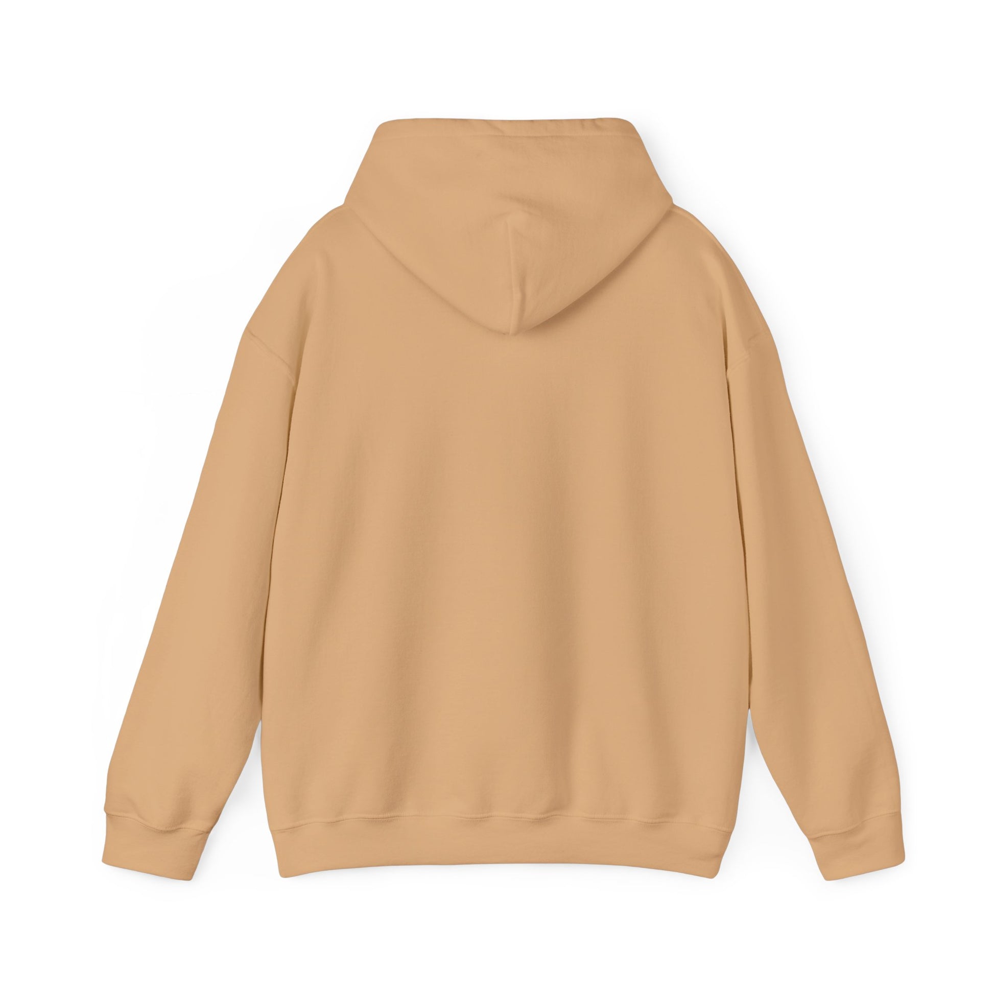 Piggy Rear Unisex Hooded Sweatshirt - ALIQUOS