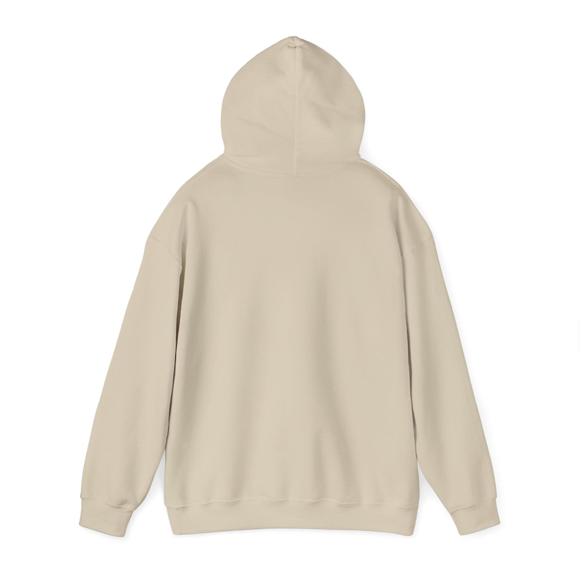Blocky Piggy Unisex Hooded Sweatshirt - ALIQUOS